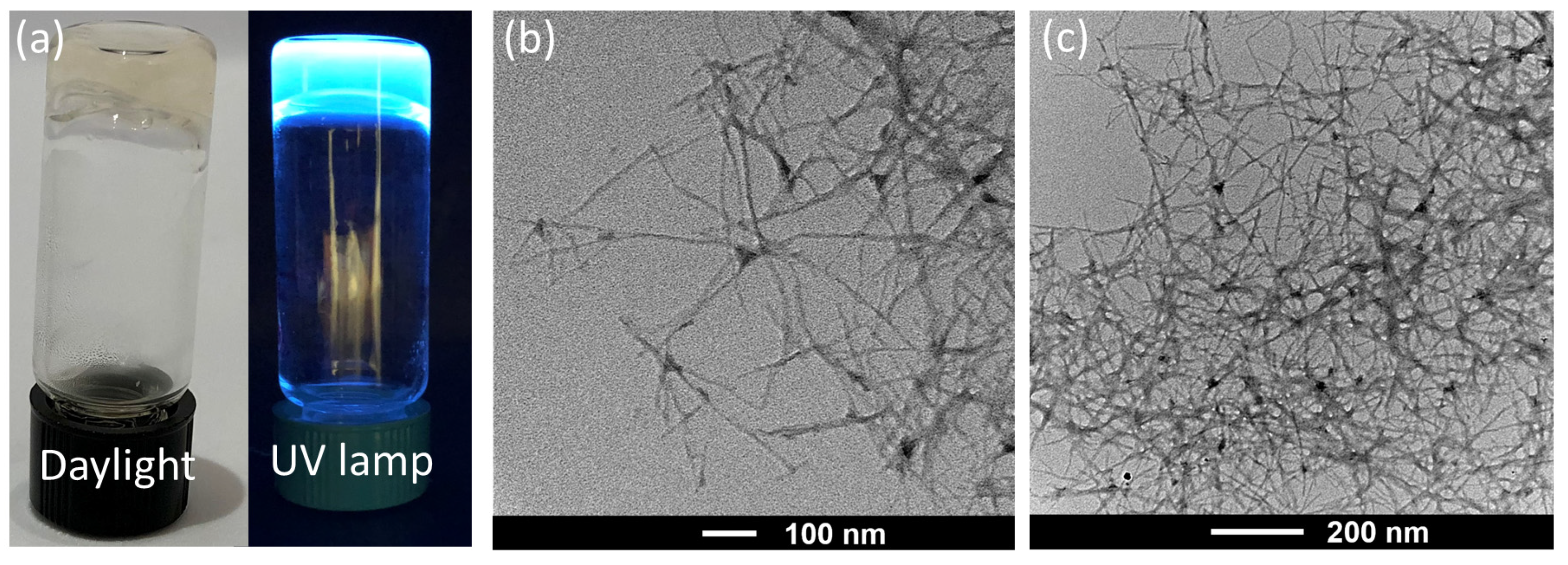 Molecules 28 02917 g001