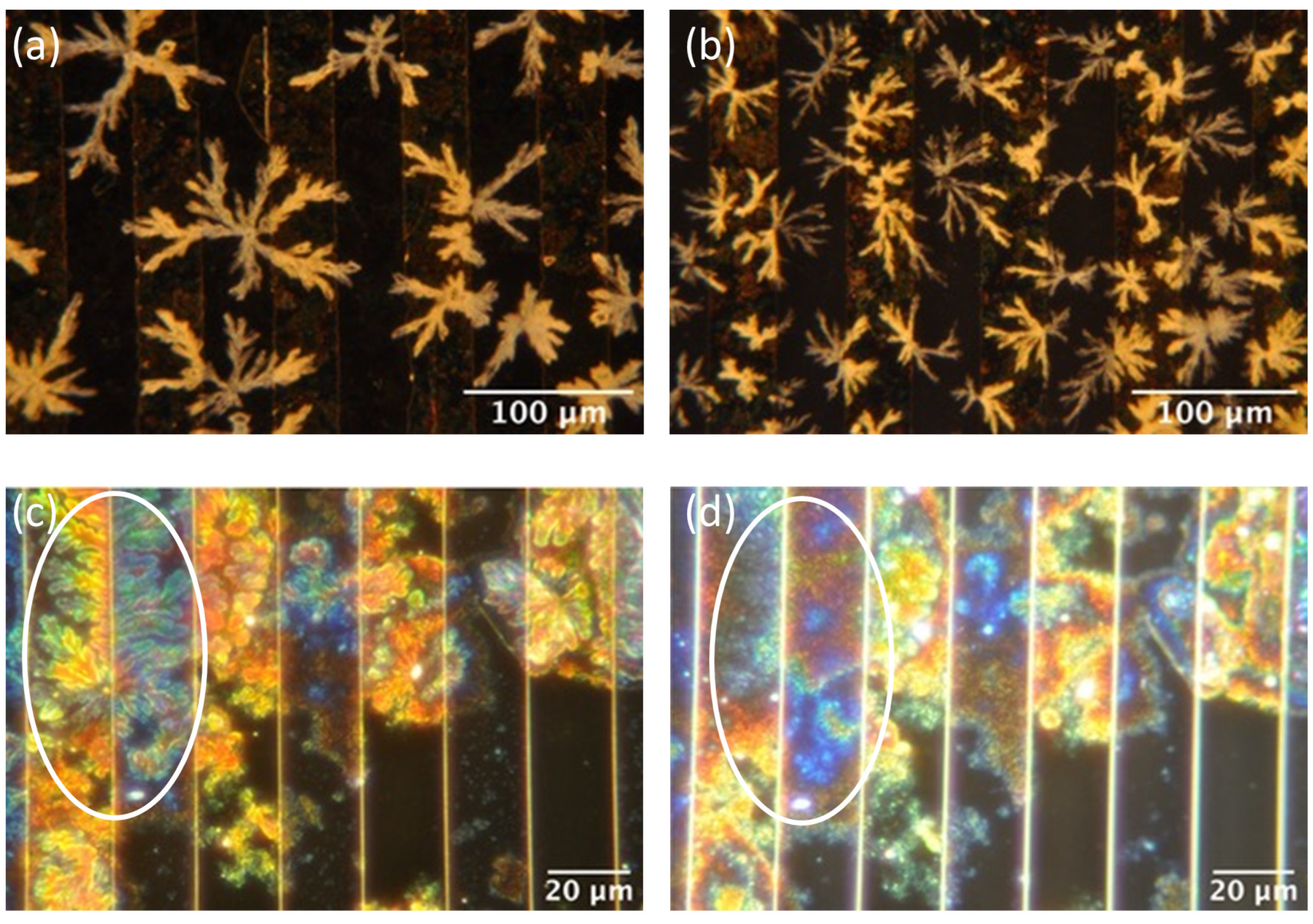 Molecules 28 02917 g005