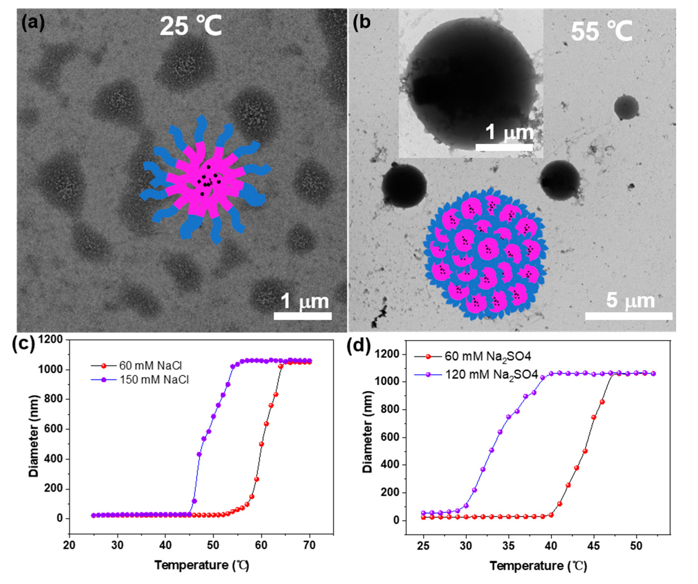 Molecules 28 02921 g003