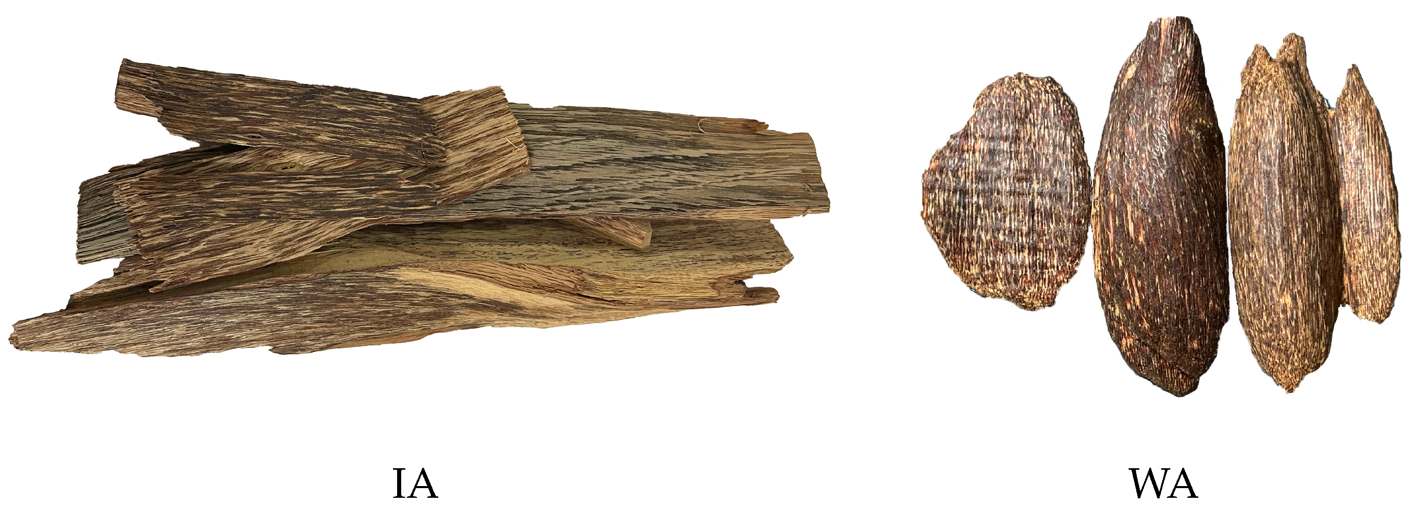 Molecules 28 02922 g007 Molecules 28 02922 g007