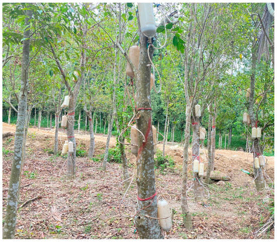 Molecules 28 02922 g0a1