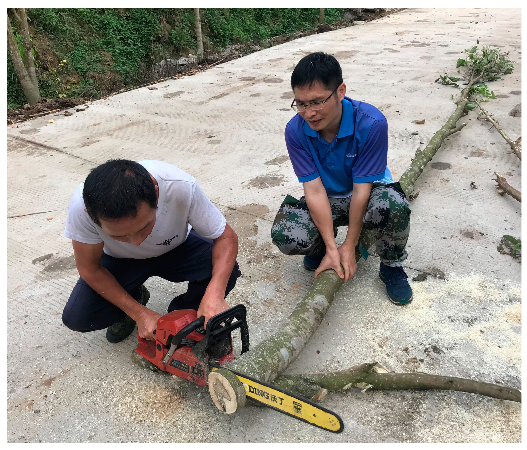 Molecules 28 02922 g0a2 Molecules 28 02922 g0a2