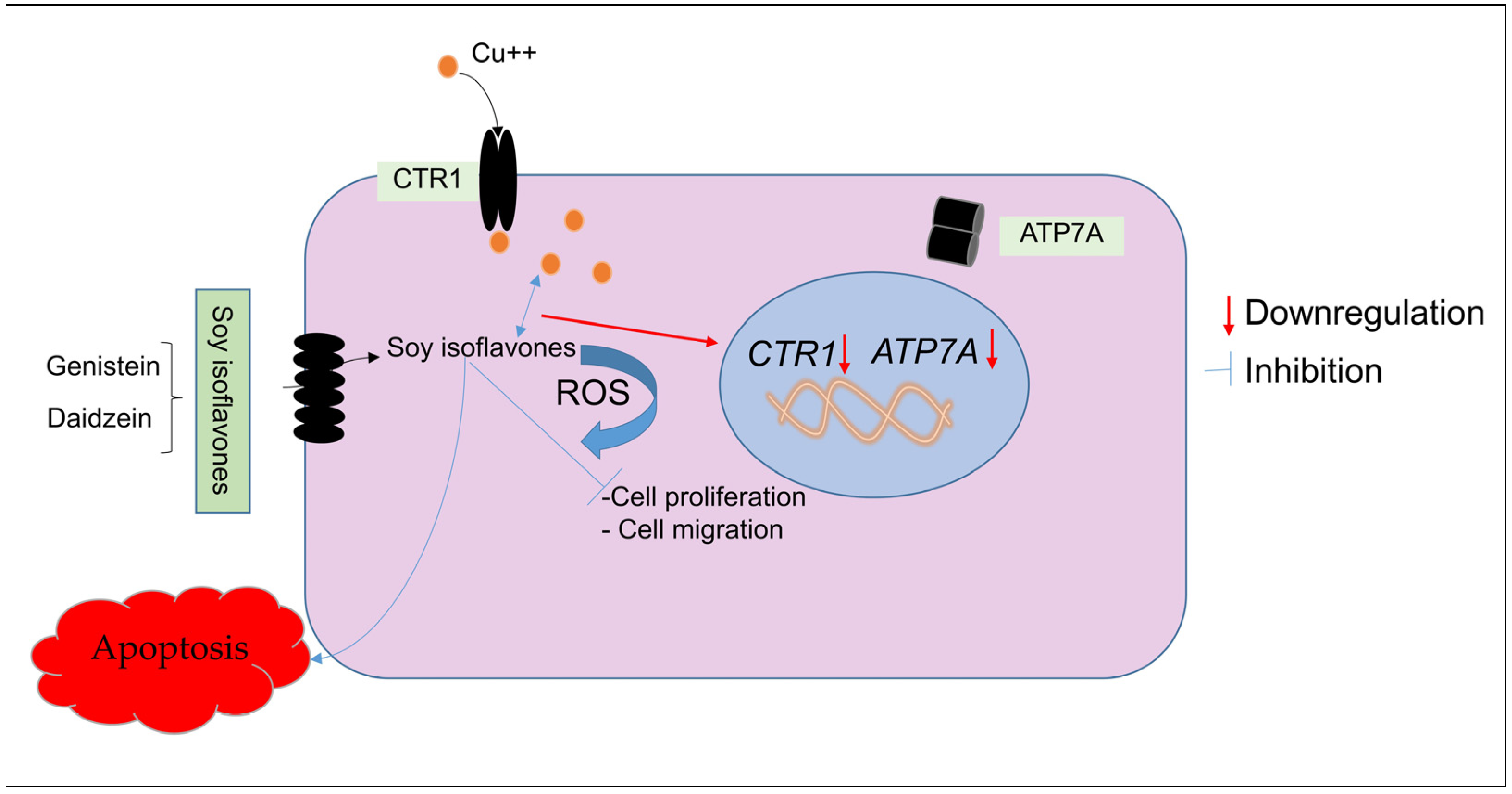 Molecules 28 02925 g010
