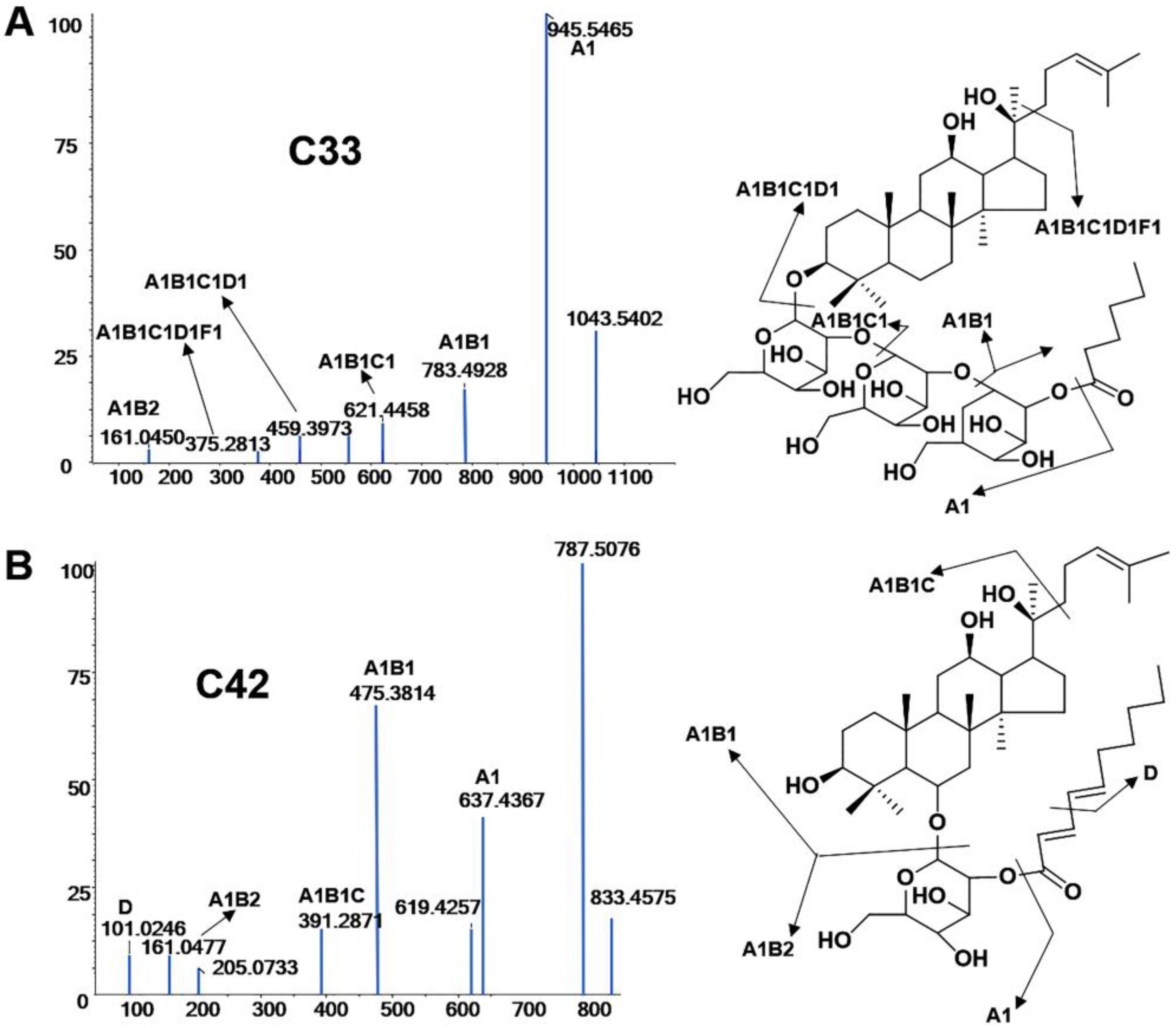 Molecules 28 02928 g002 Molecules 28 02928 g002