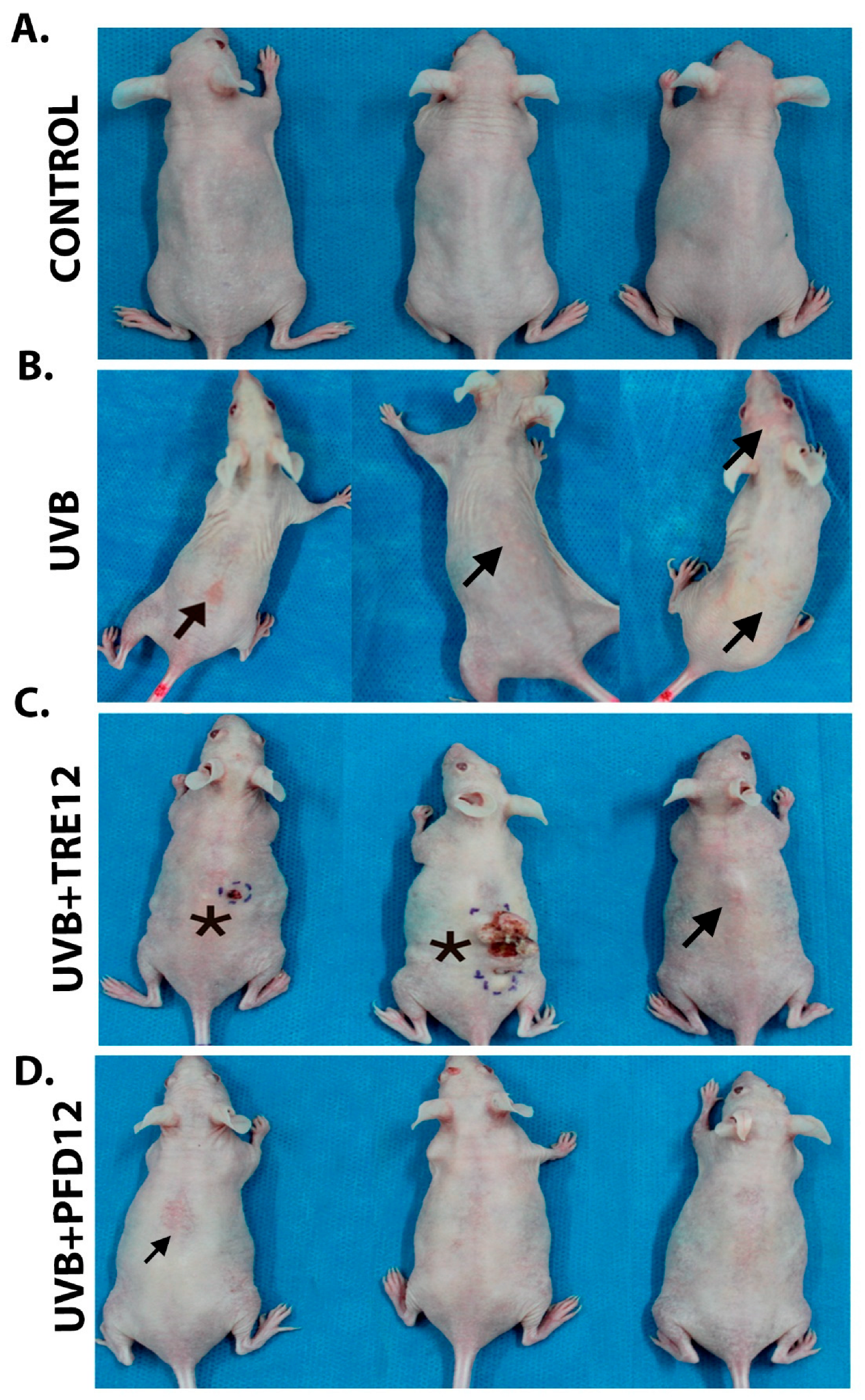 Molecules 28 02929 g001