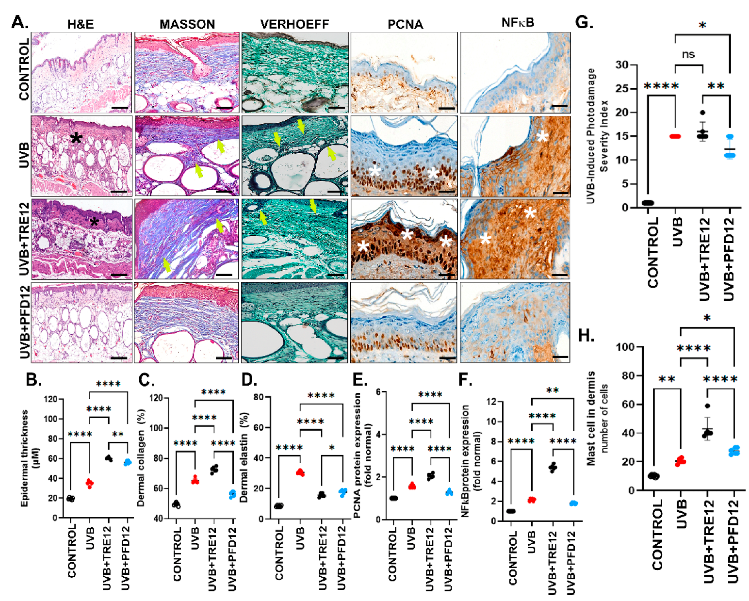 Molecules 28 02929 g003