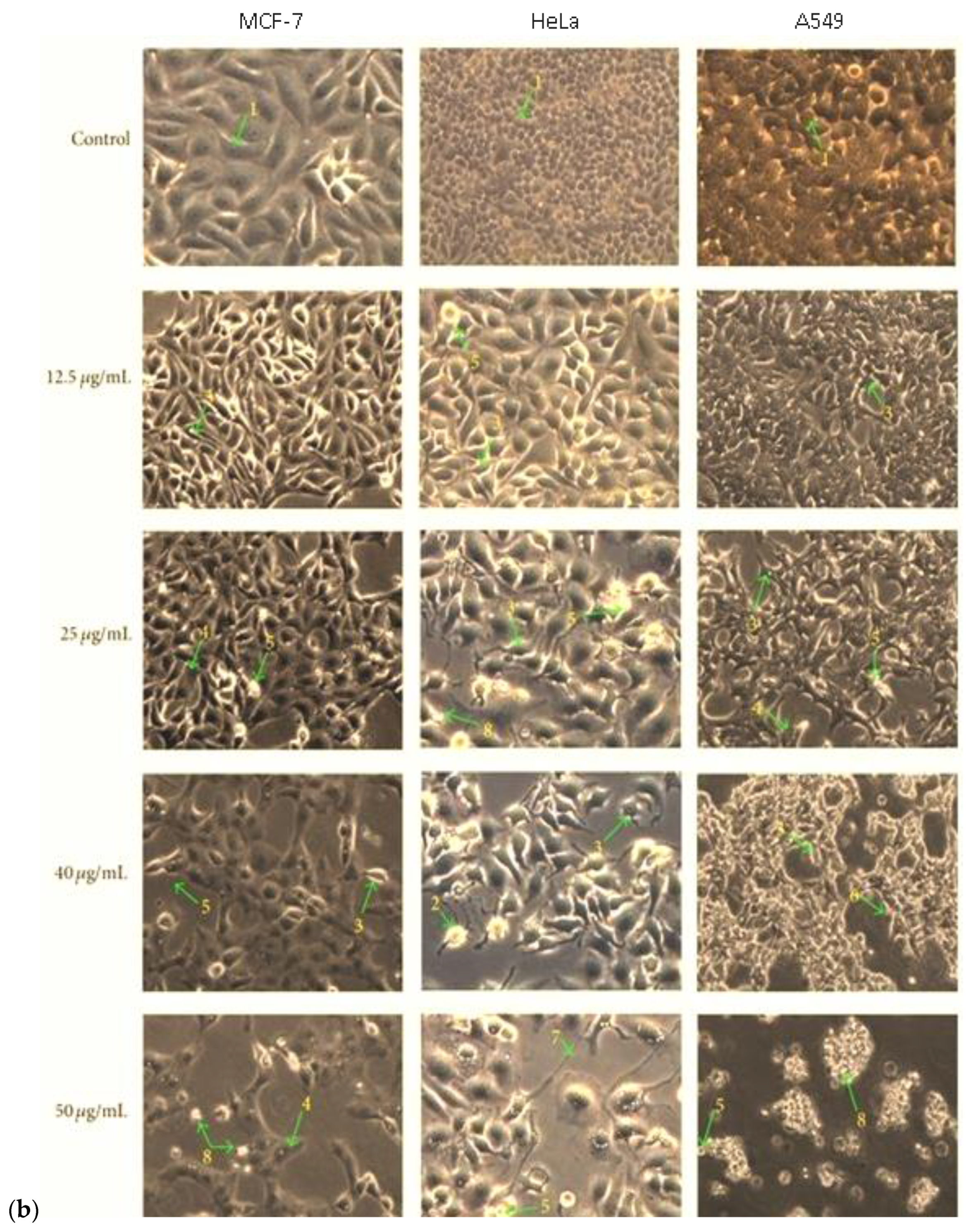 Molecules 28 02931 g010b
