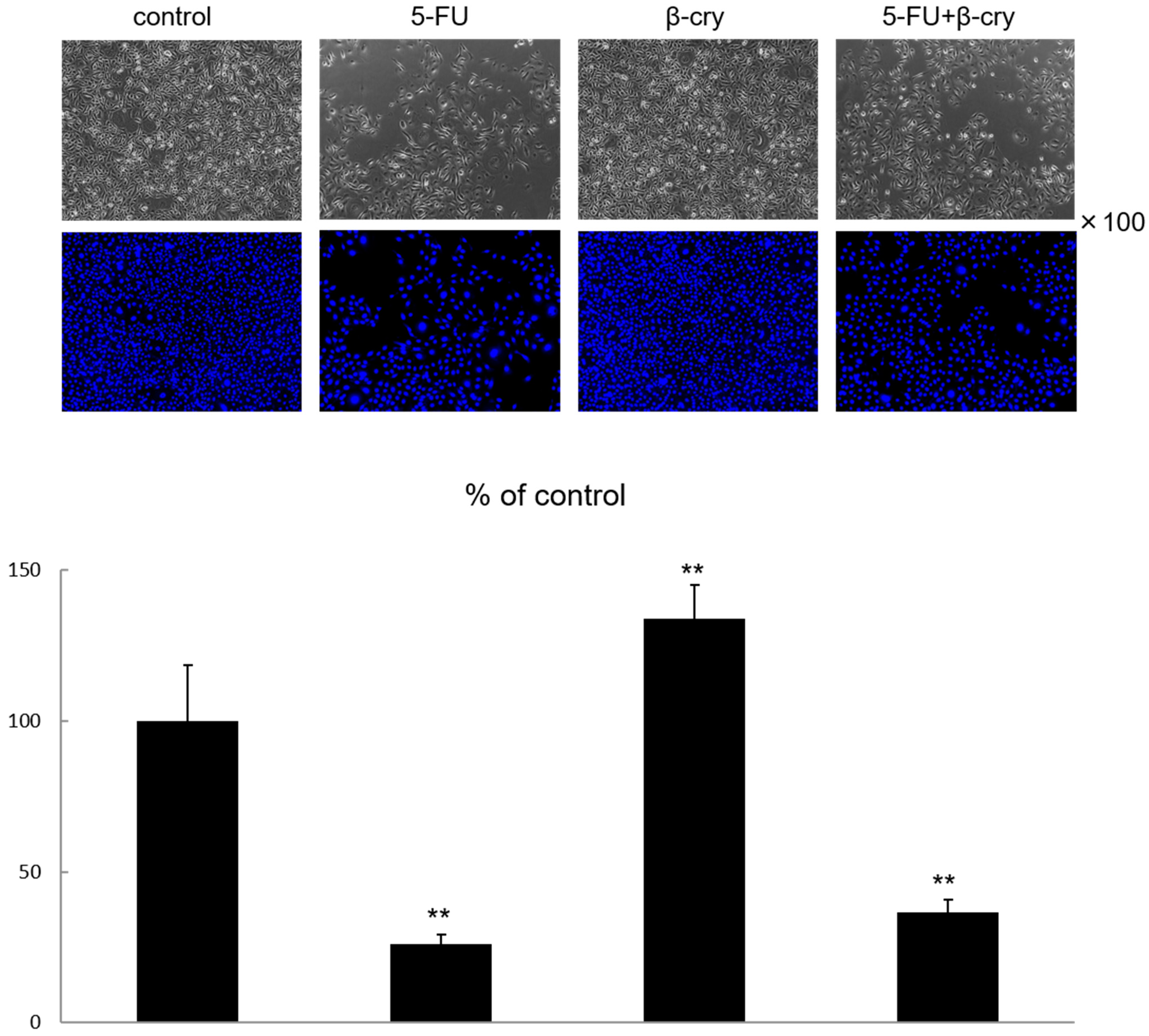Molecules 28 02935 g001 Molecules 28 02935 g001