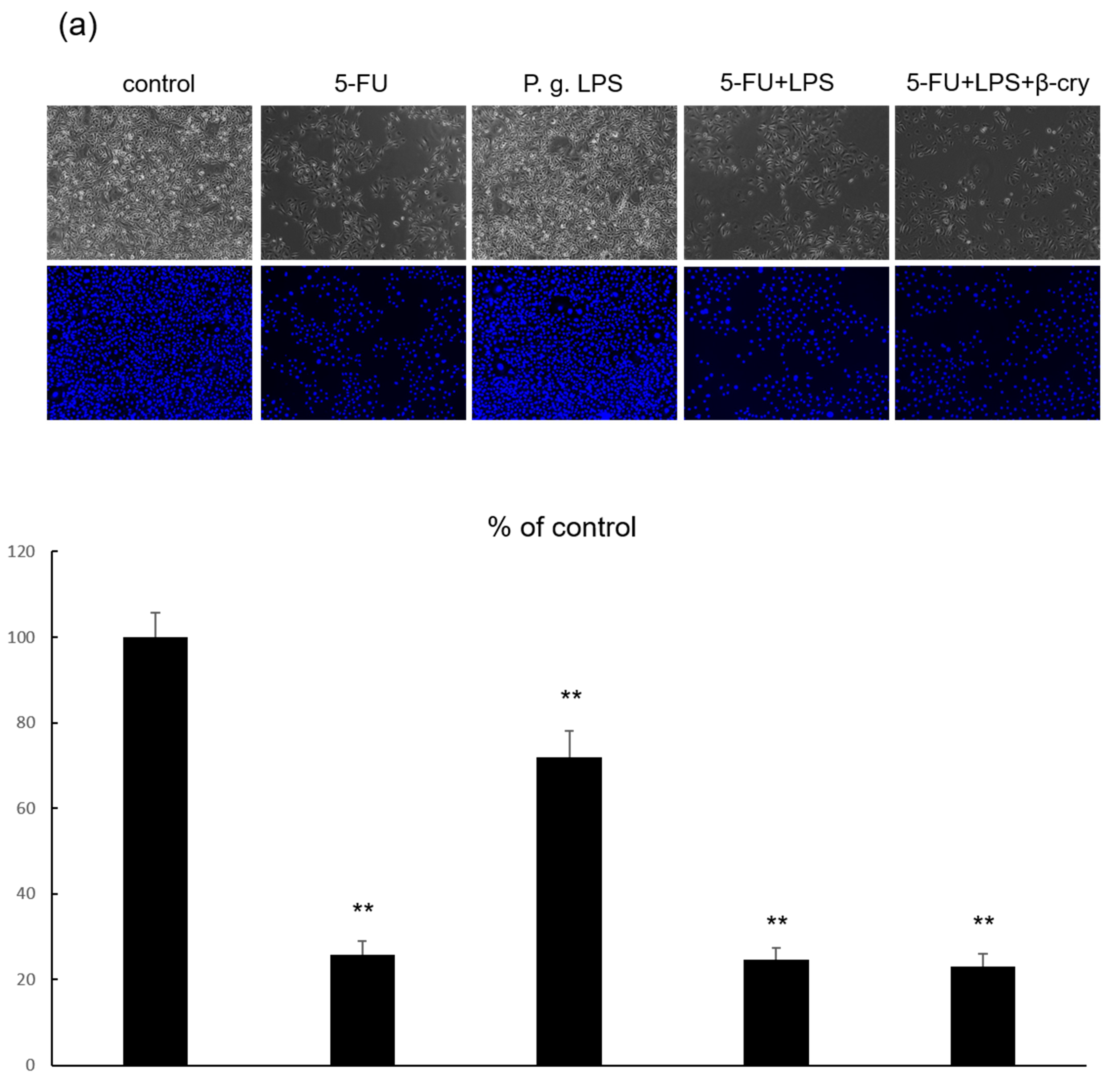 Molecules 28 02935 g004a Molecules 28 02935 g004a