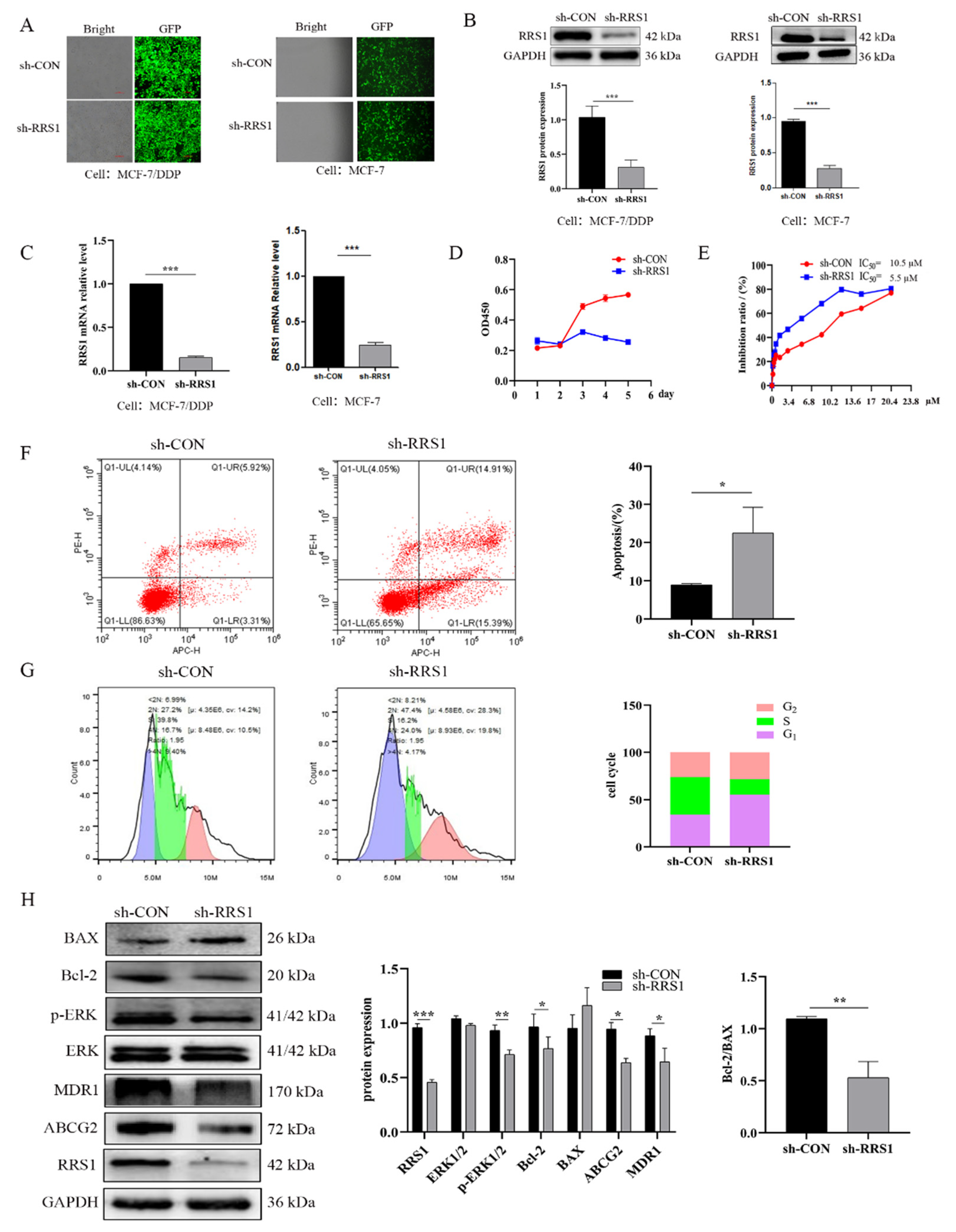 Molecules 28 02939 g002