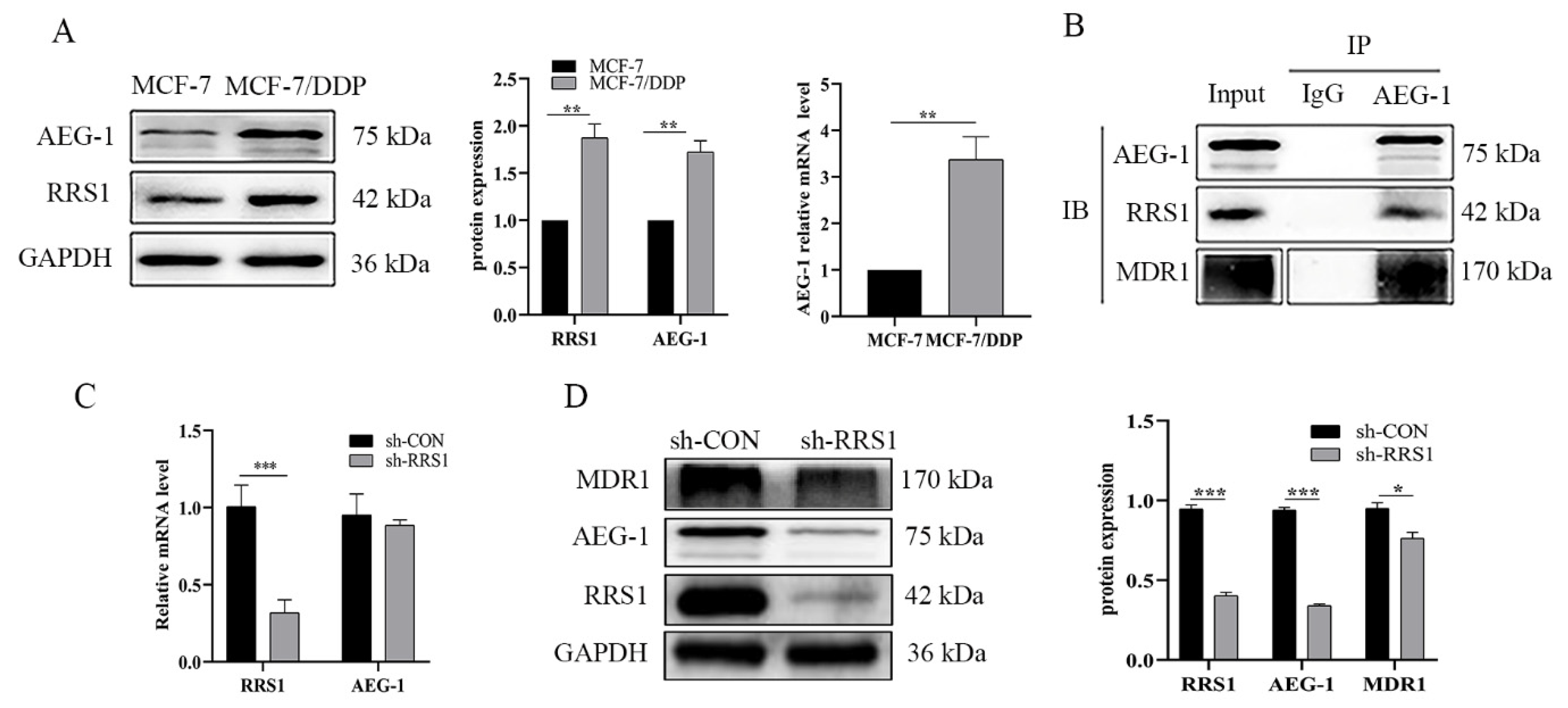 Molecules 28 02939 g003