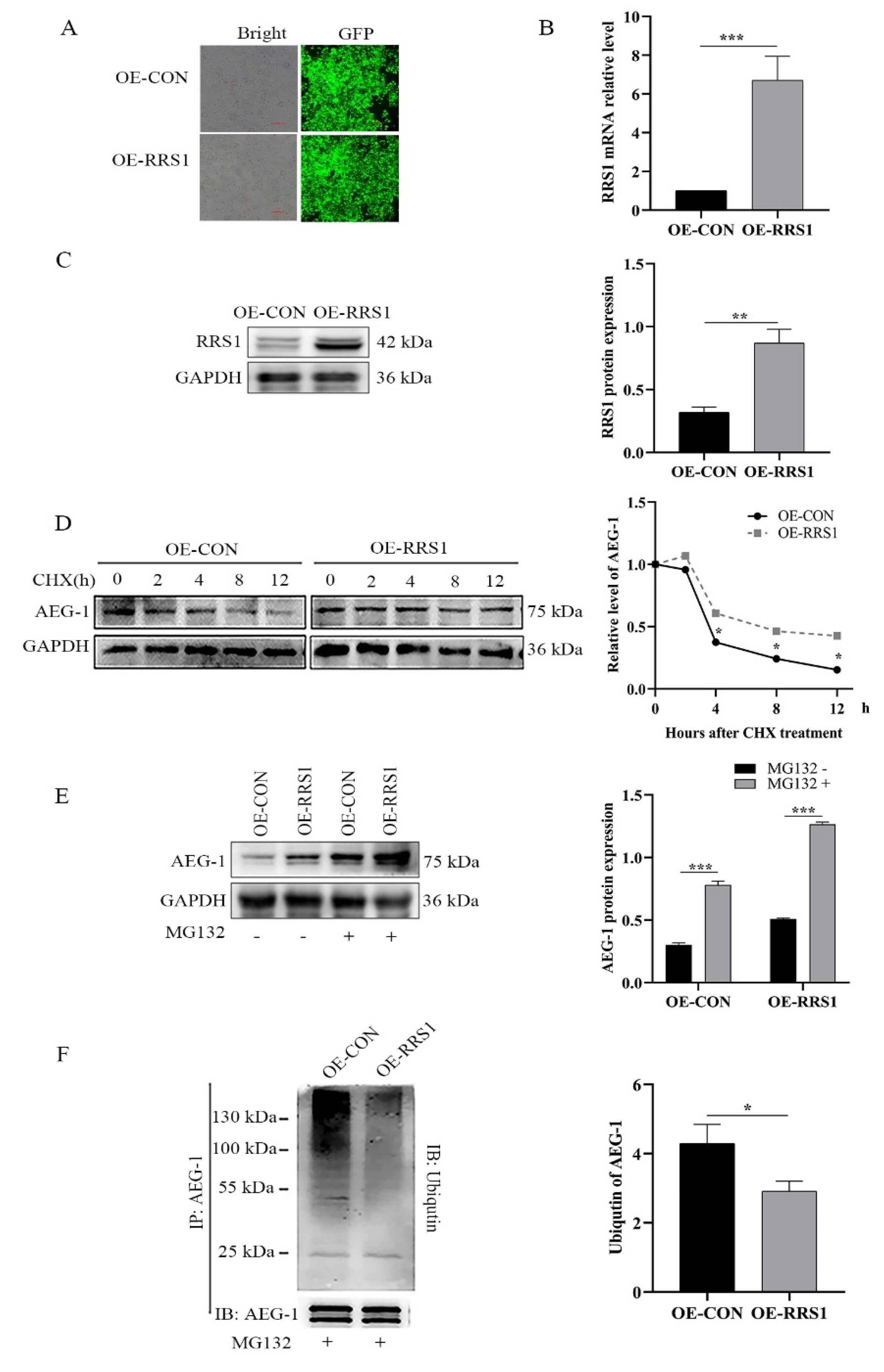 Molecules 28 02939 g004
