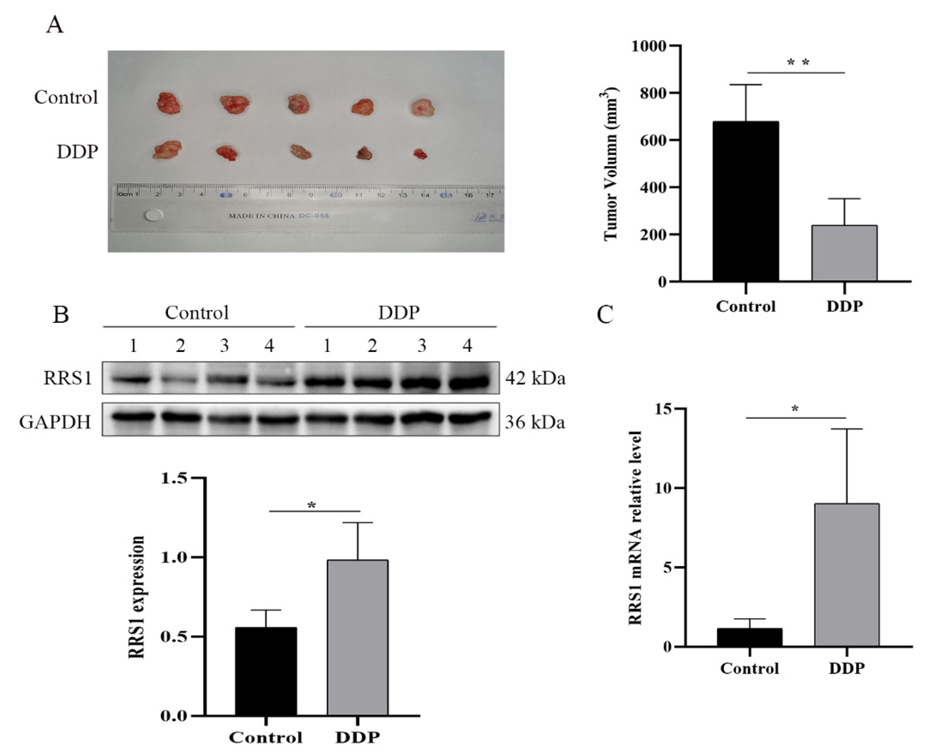 Molecules 28 02939 g005