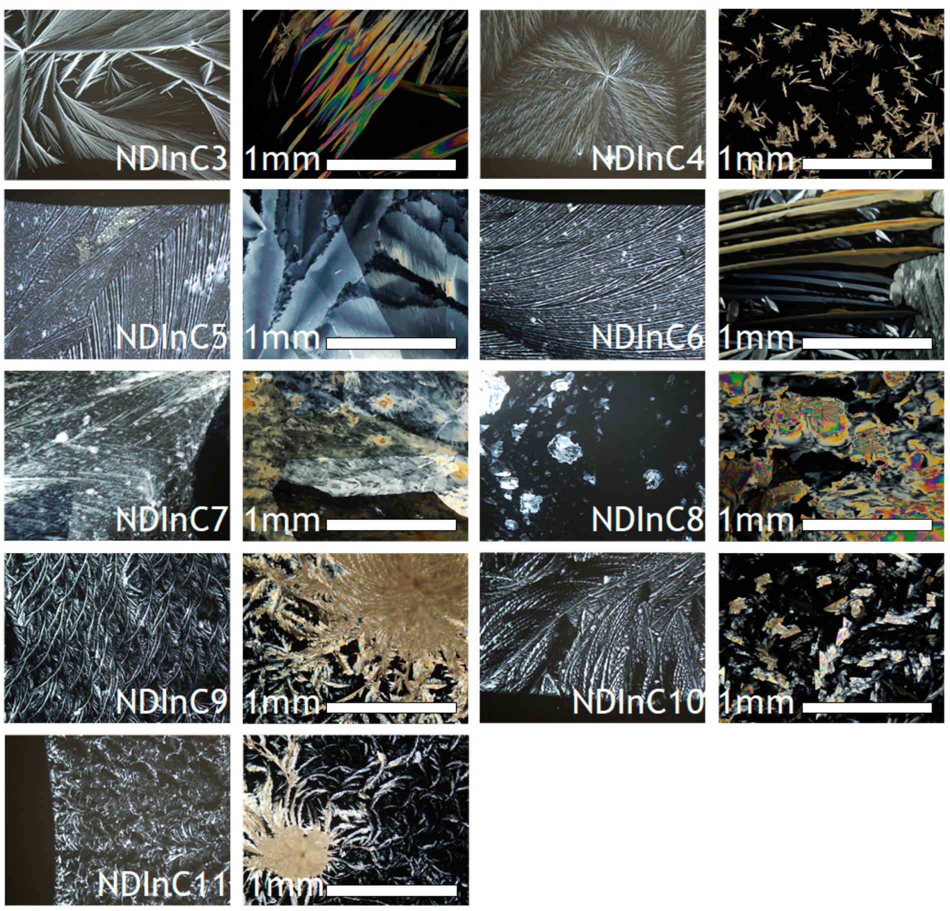 Molecules 28 02940 g006 Molecules 28 02940 g006