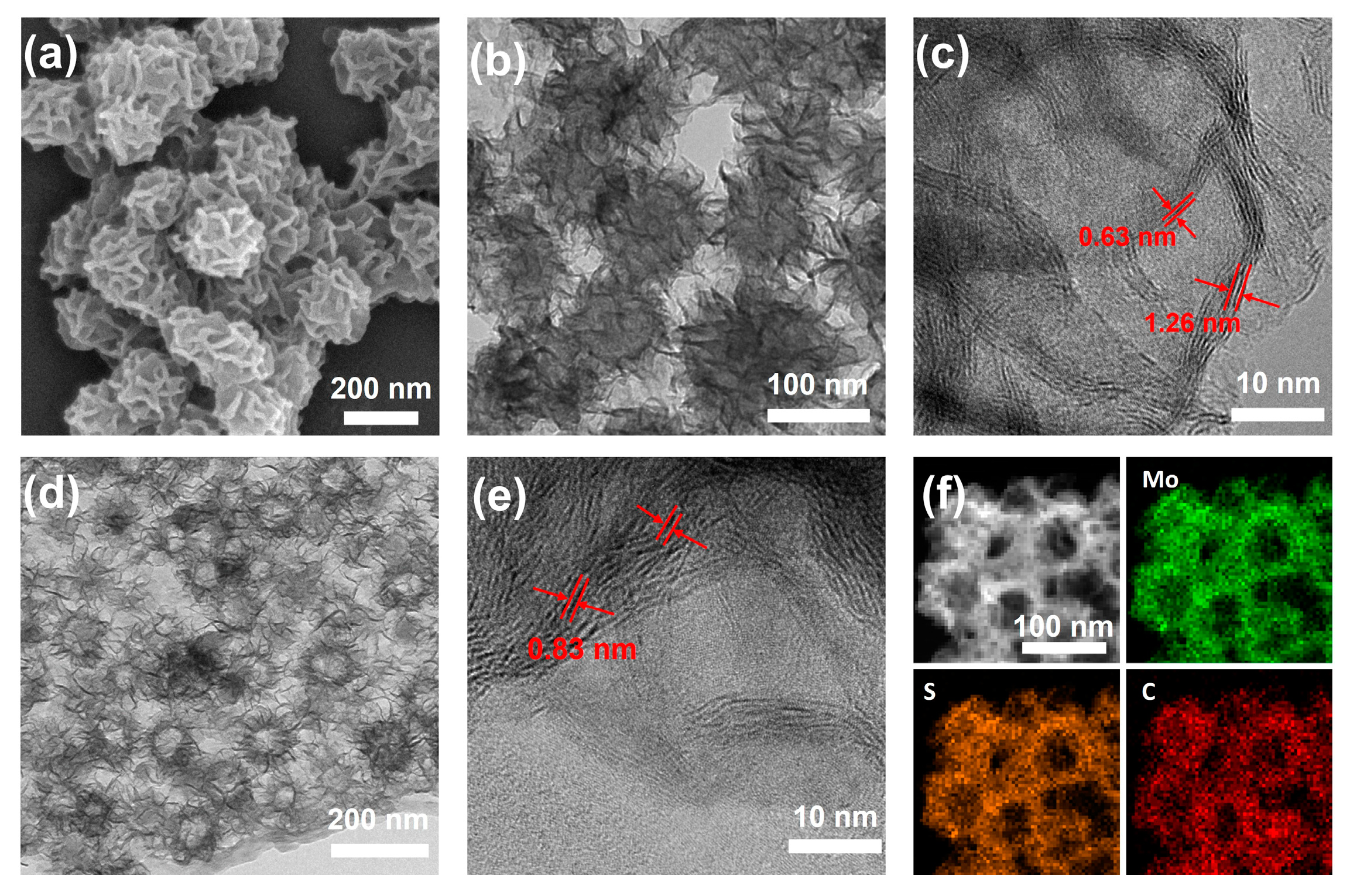 Molecules 28 02948 g001