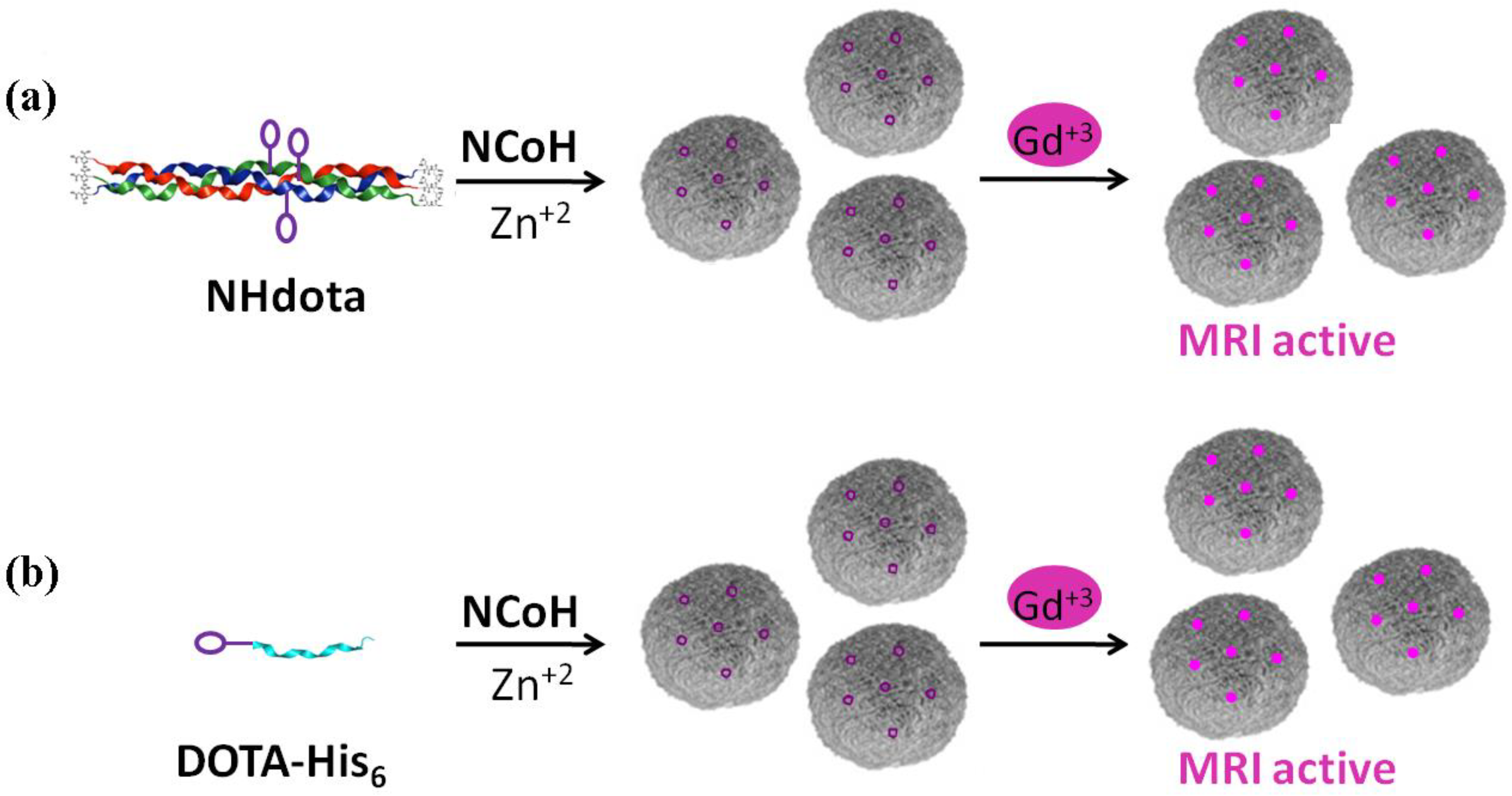 Molecules 28 02953 g002