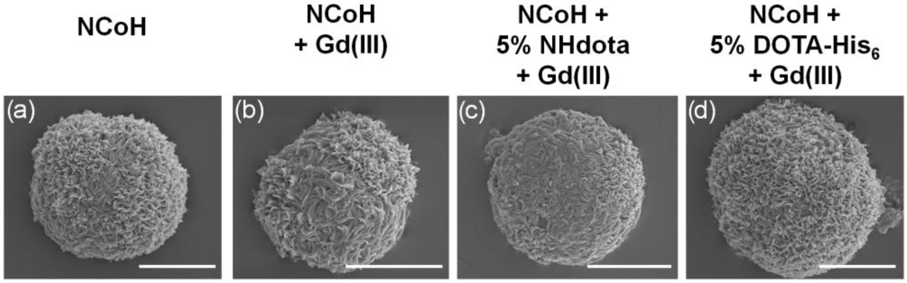 Molecules 28 02953 g003