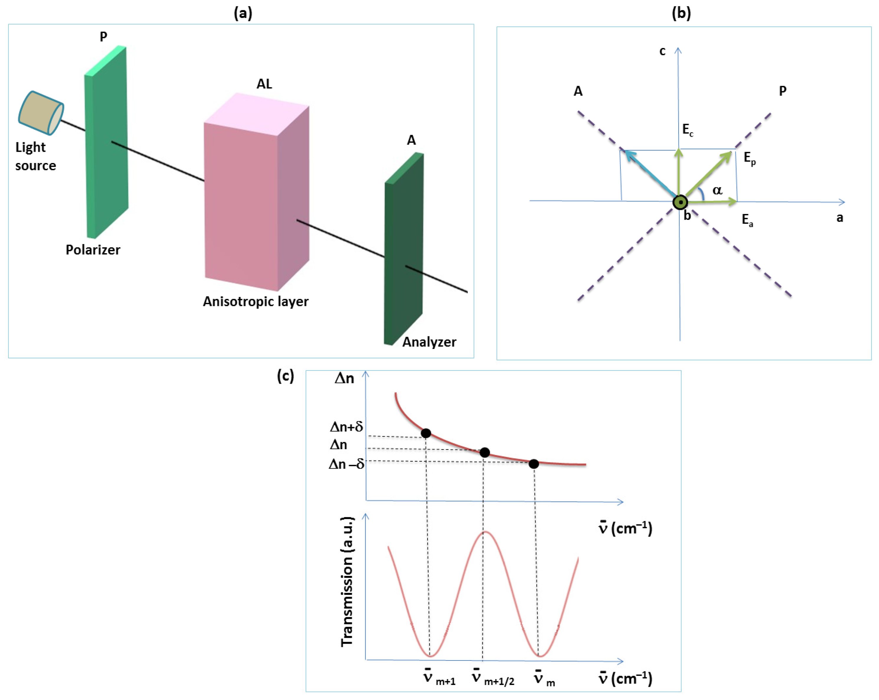 Molecules 28 02955 g003