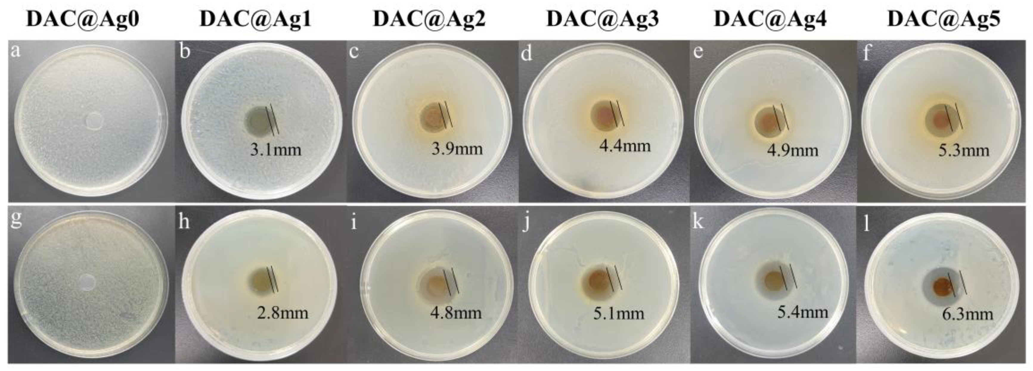 Molecules 28 02956 g009 Molecules 28 02956 g009