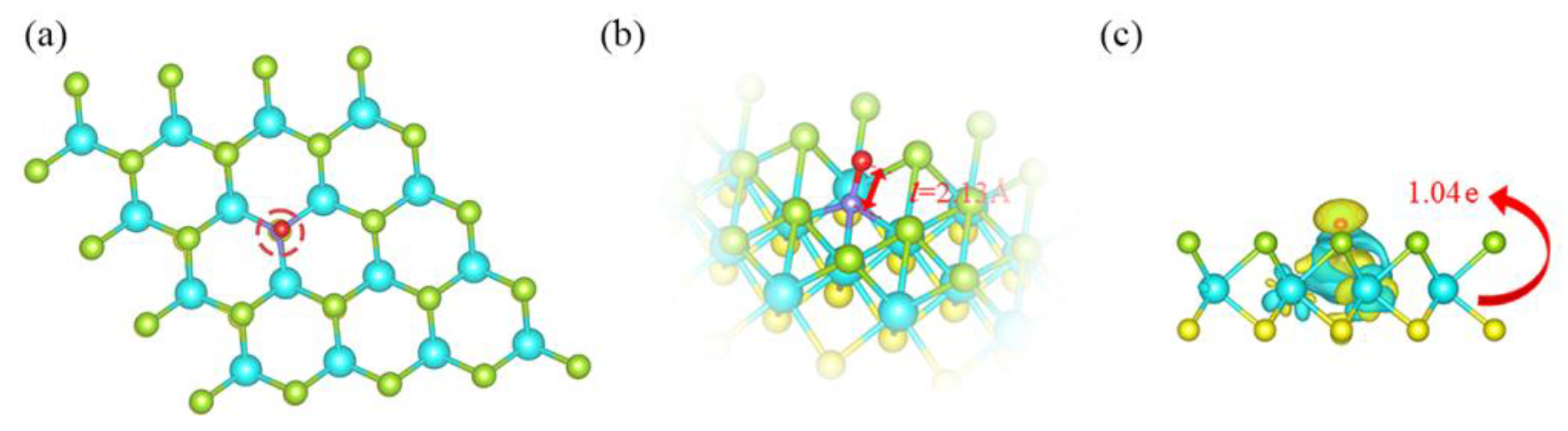 Molecules 28 02959 g005
