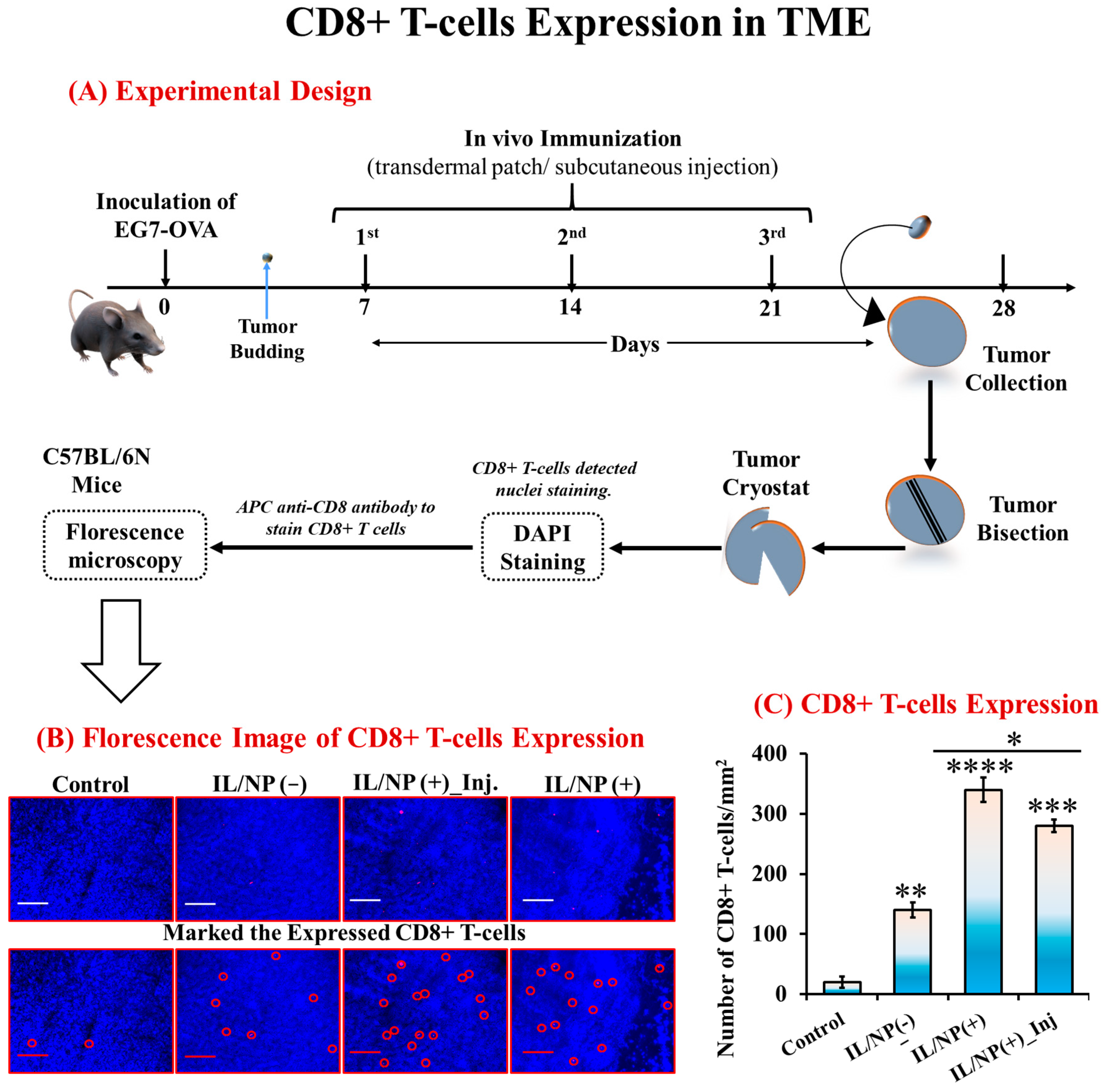Molecules 28 02969 g007