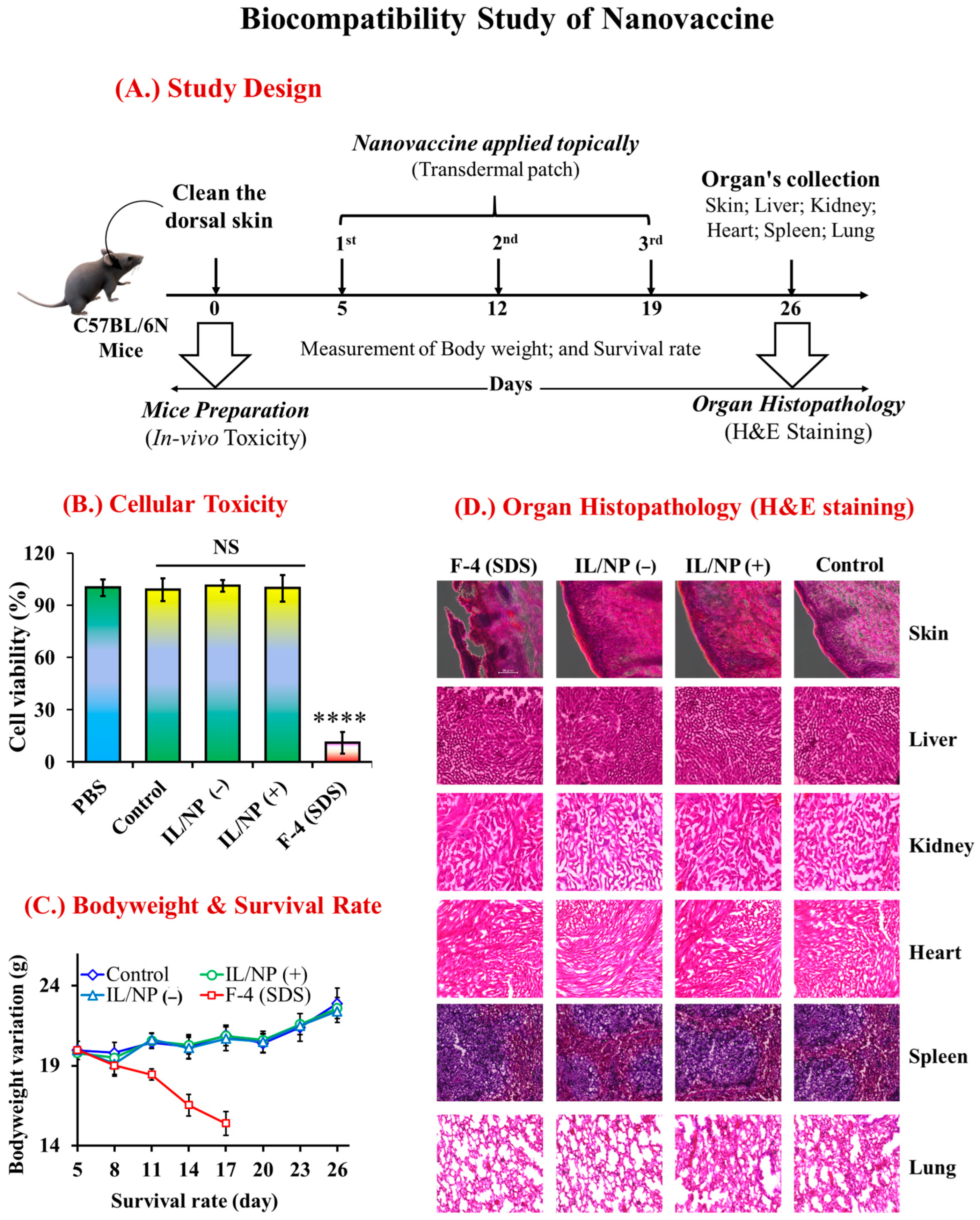 Molecules 28 02969 g008