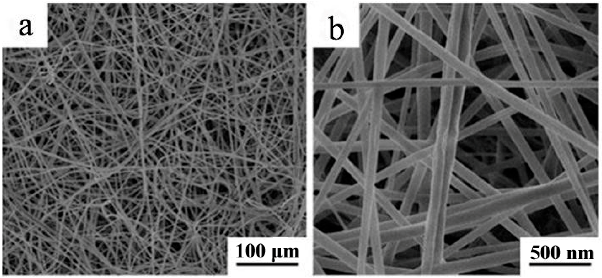 Molecules 28 02972 g002
