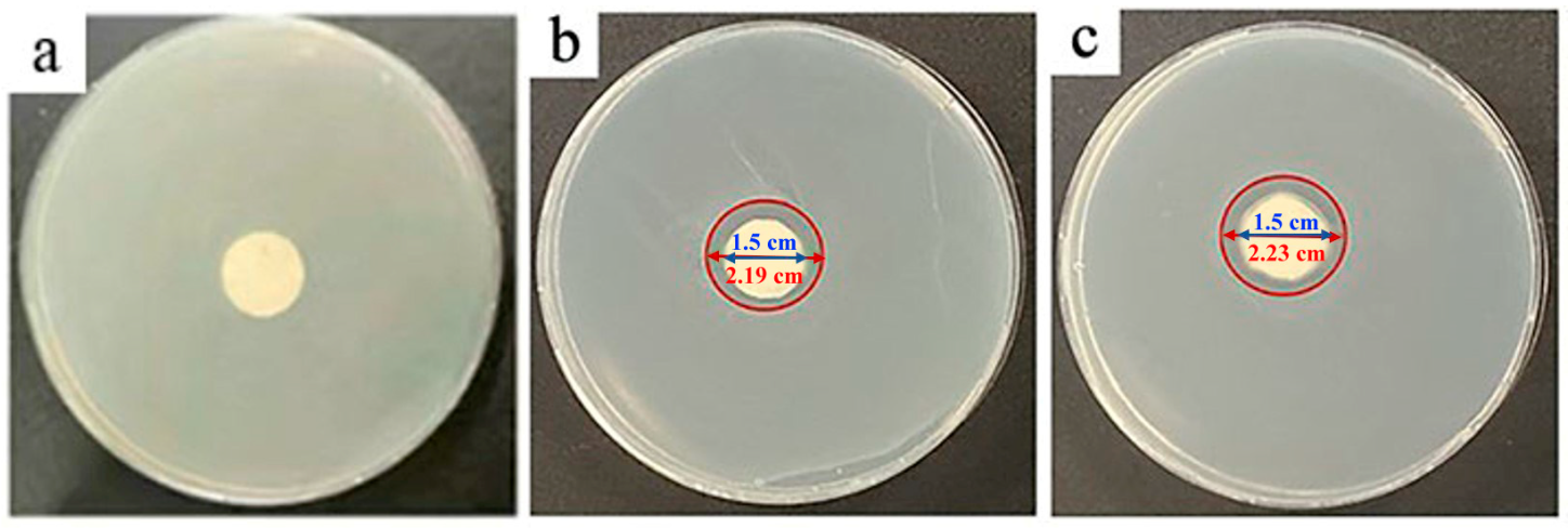 Molecules 28 02972 g004