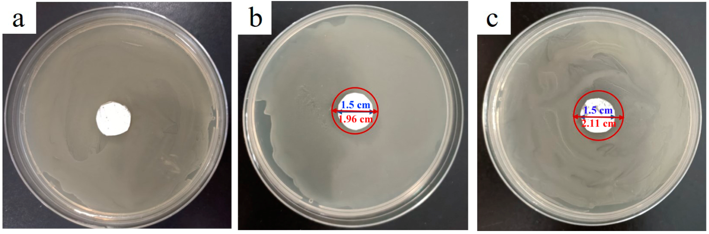 Molecules 28 02972 g005