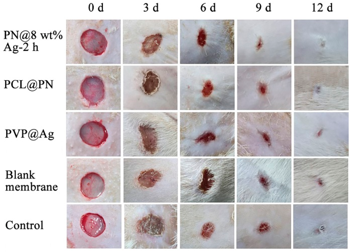 Molecules 28 02972 g007
