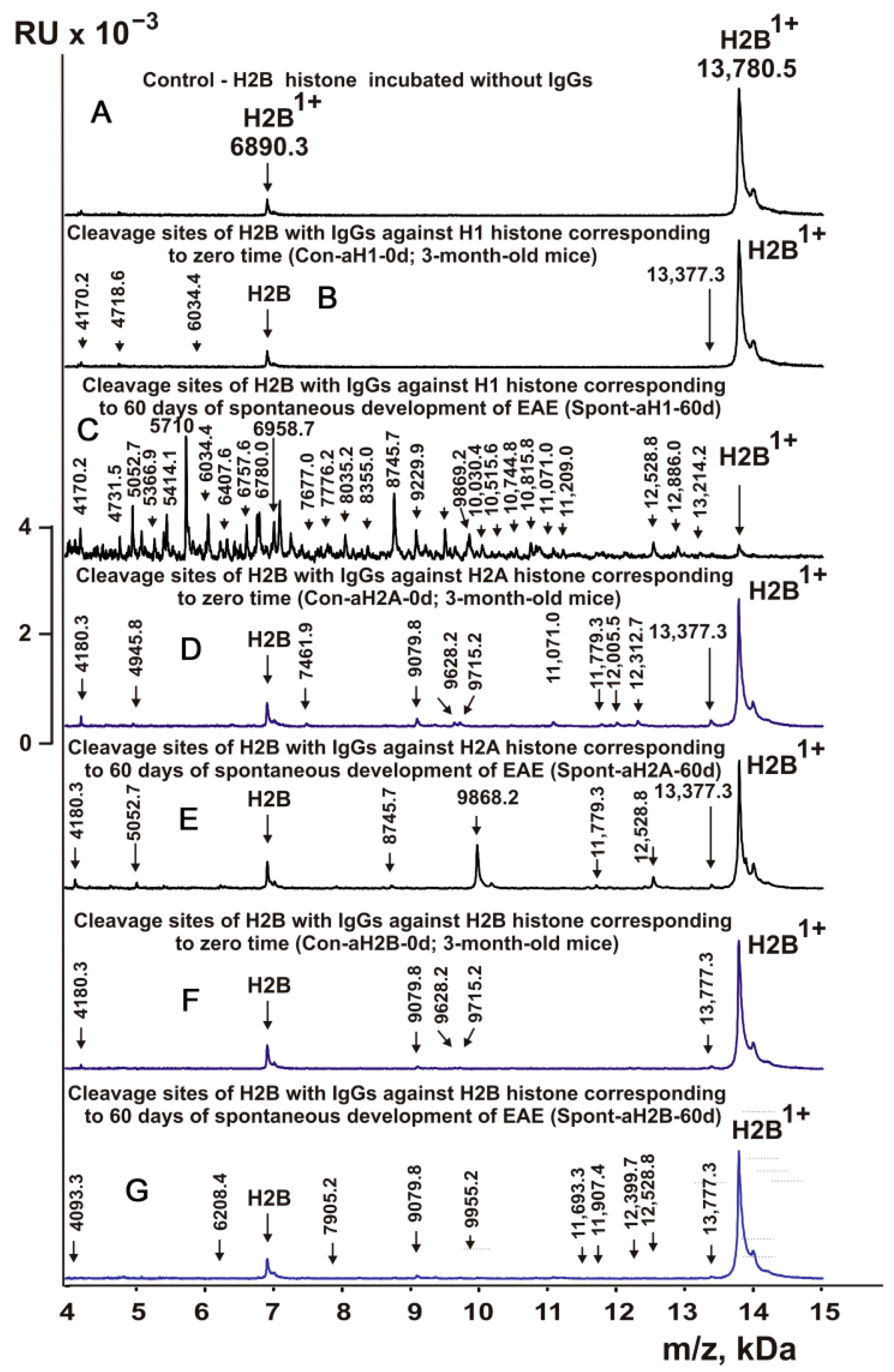 Molecules 28 02973 g002