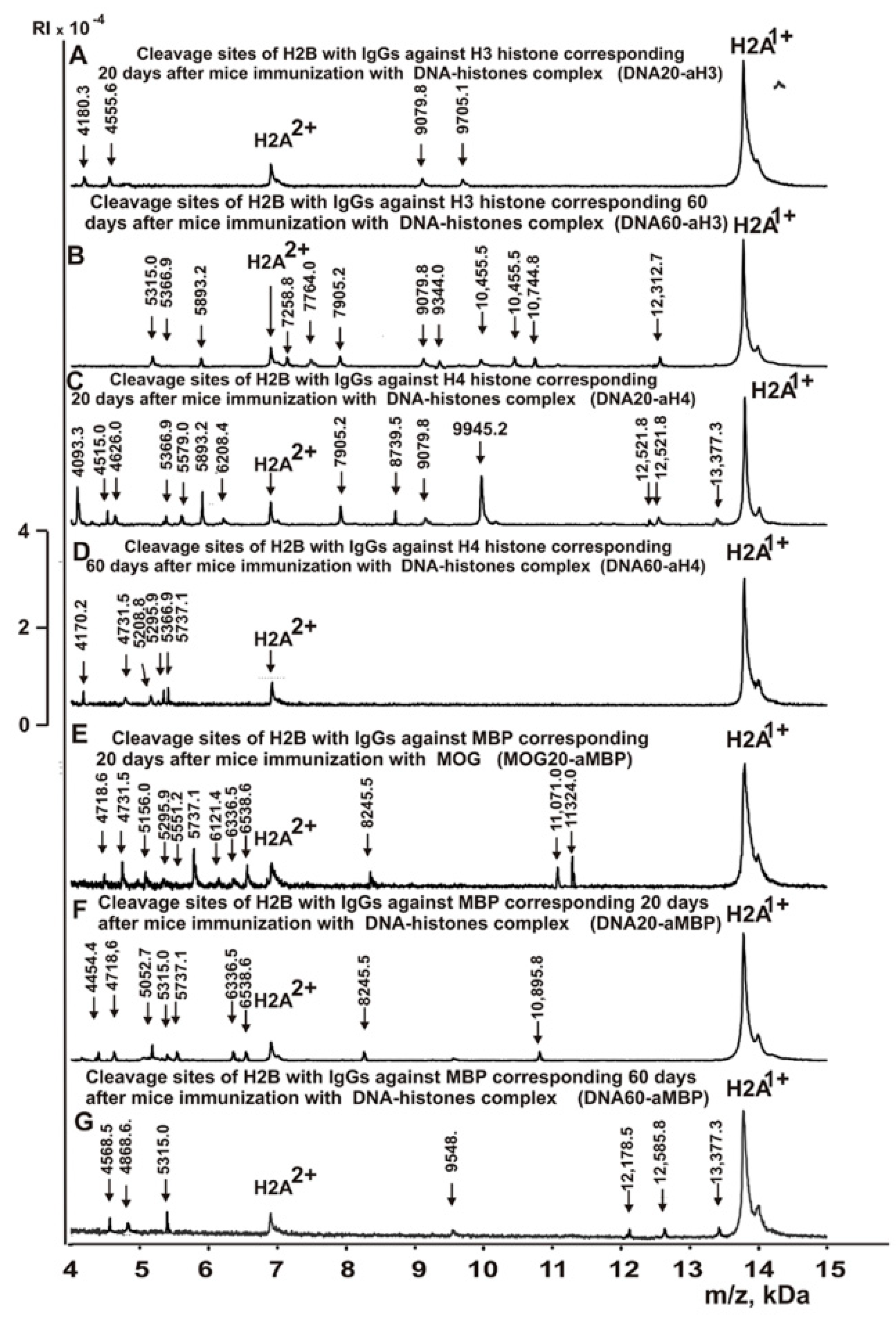 Molecules 28 02973 g006