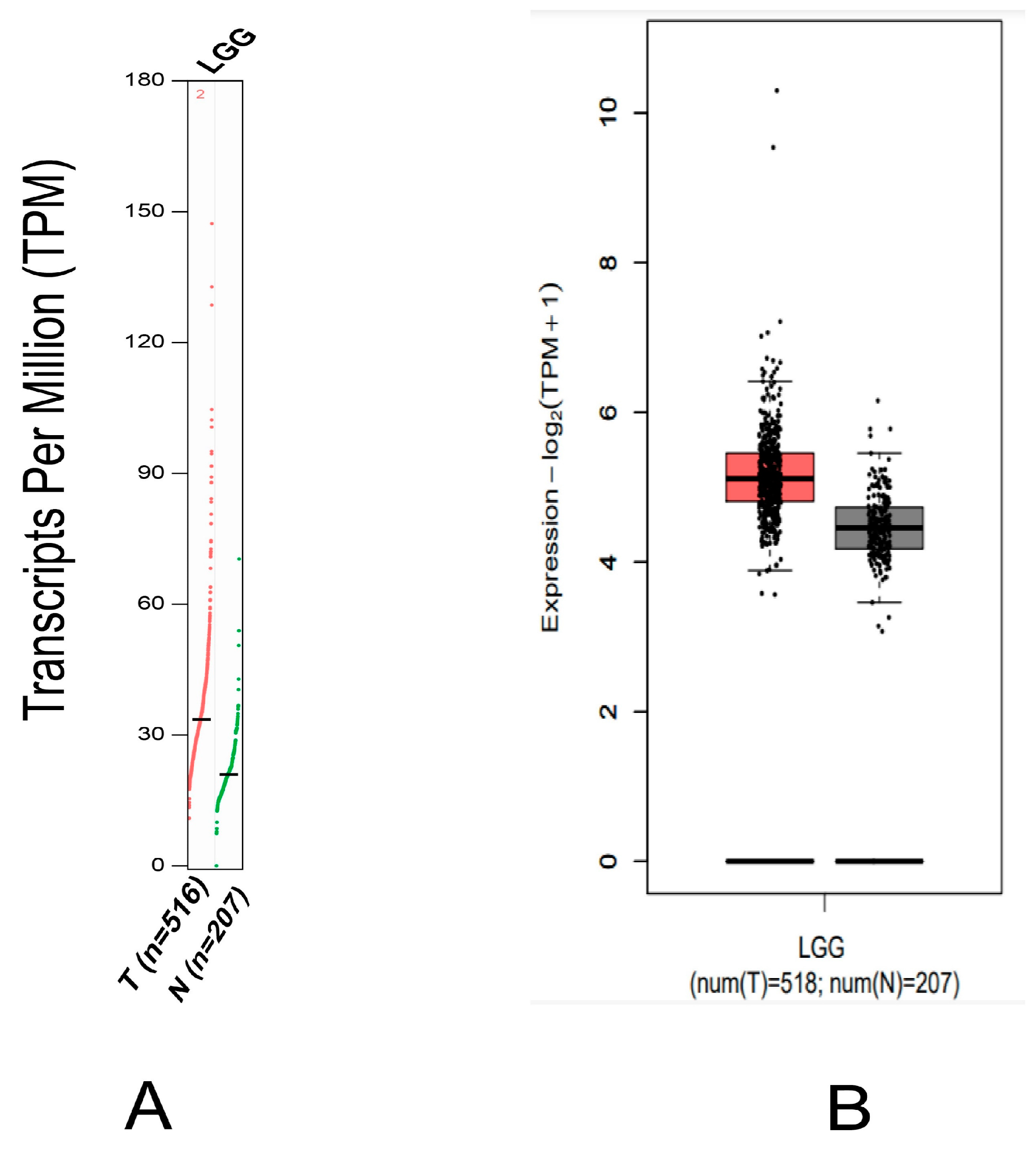 Molecules 28 02977 g003
