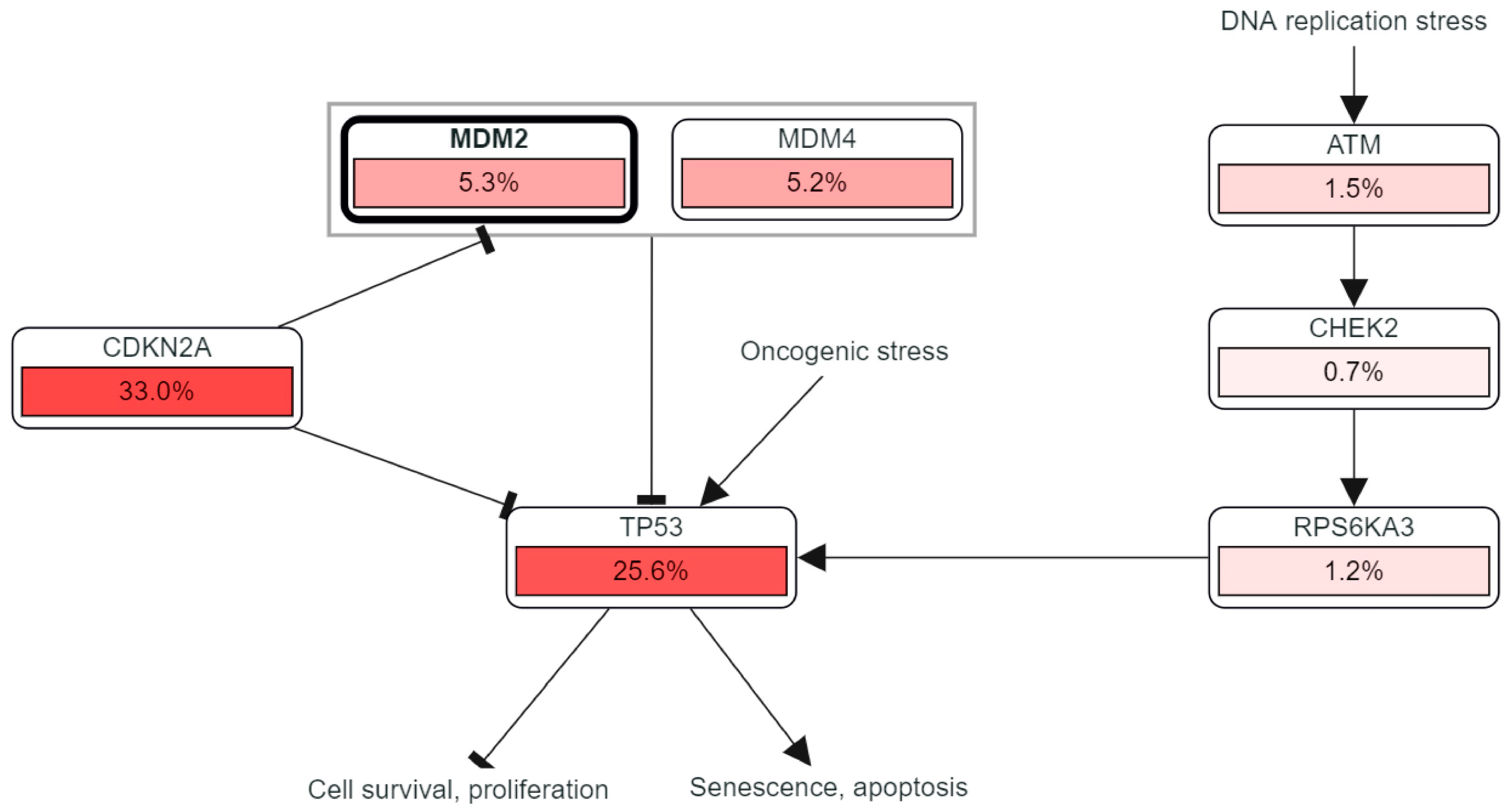 Molecules 28 02977 g008