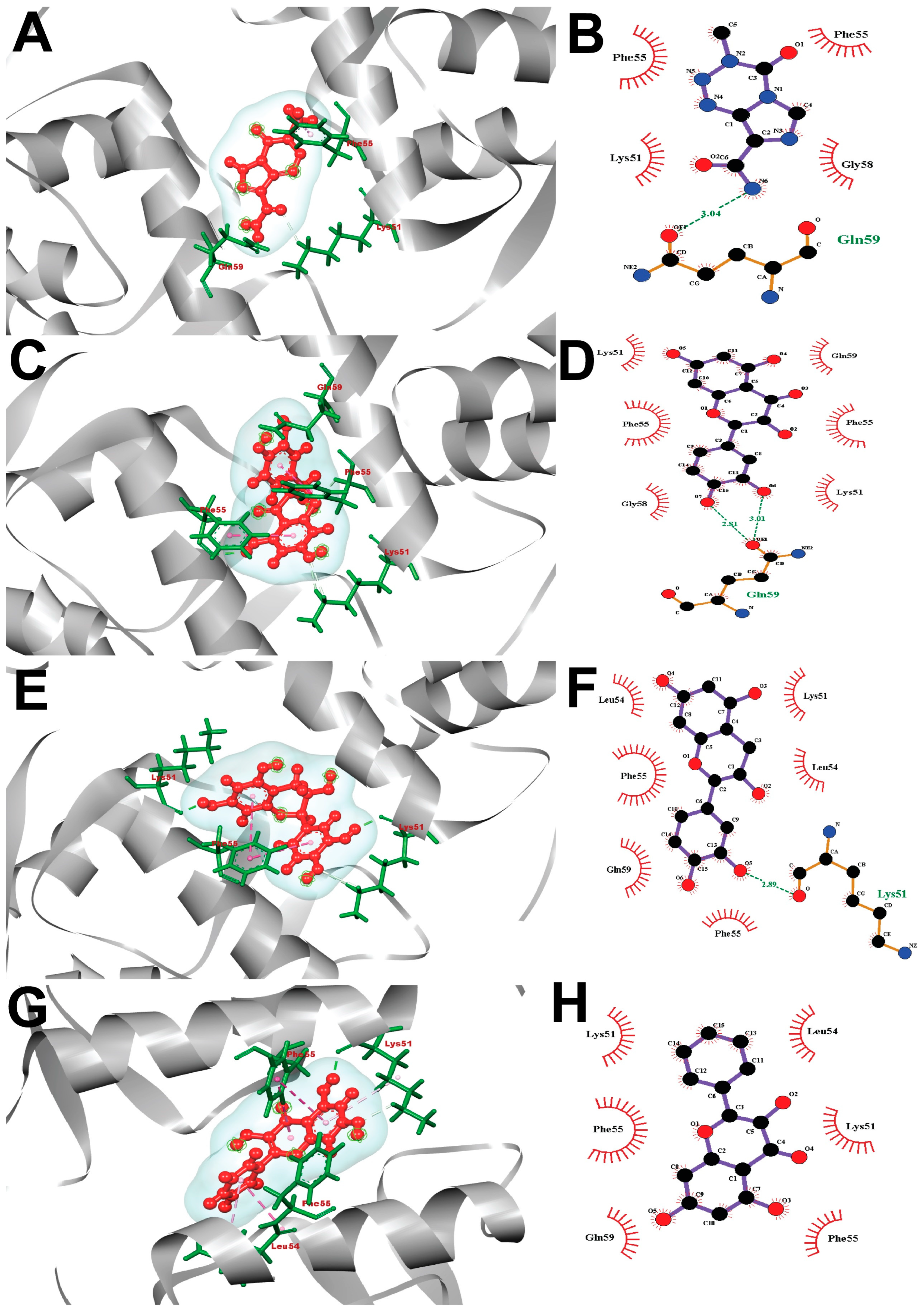 Molecules 28 02977 g010