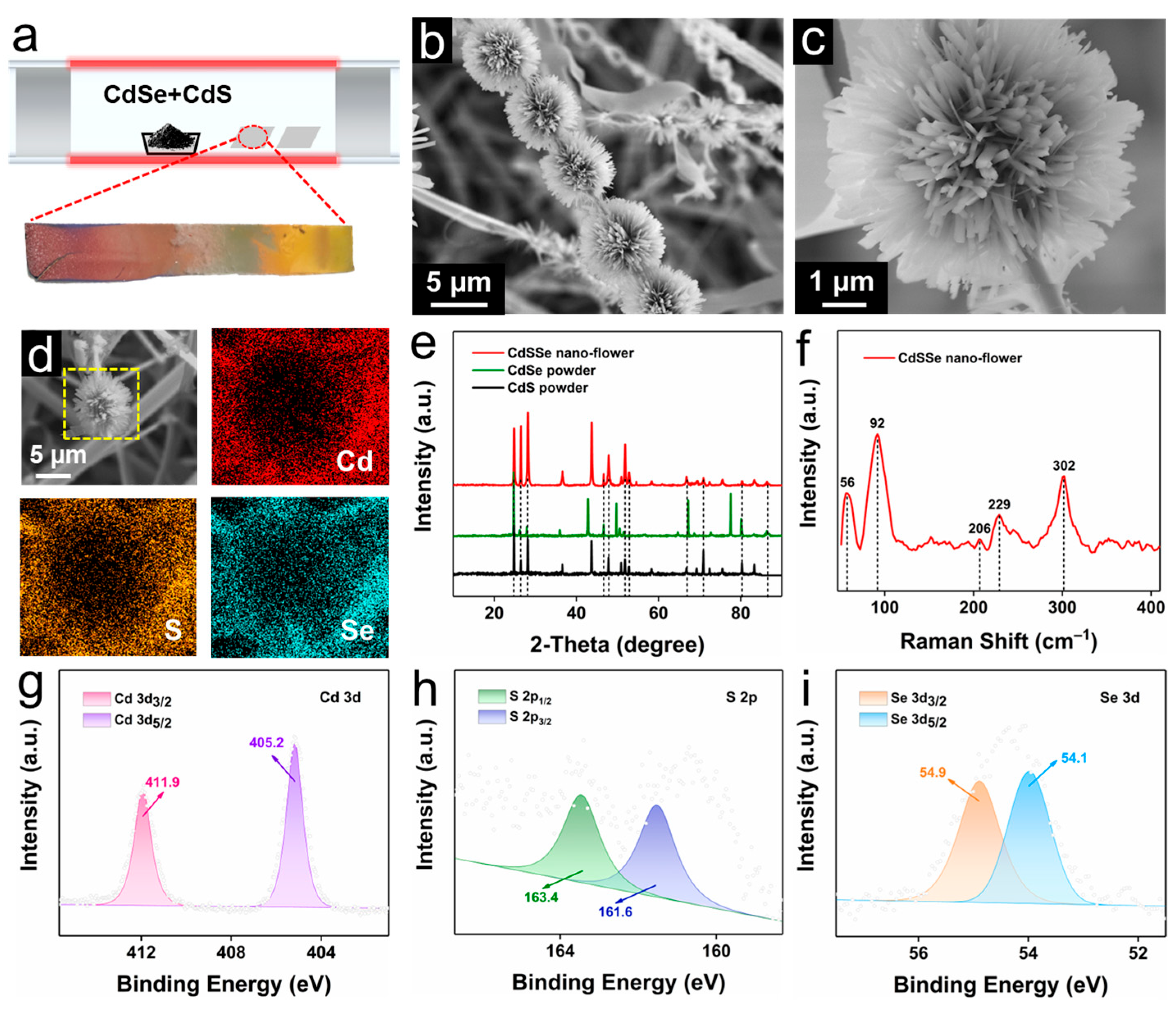 Molecules 28 02980 g001