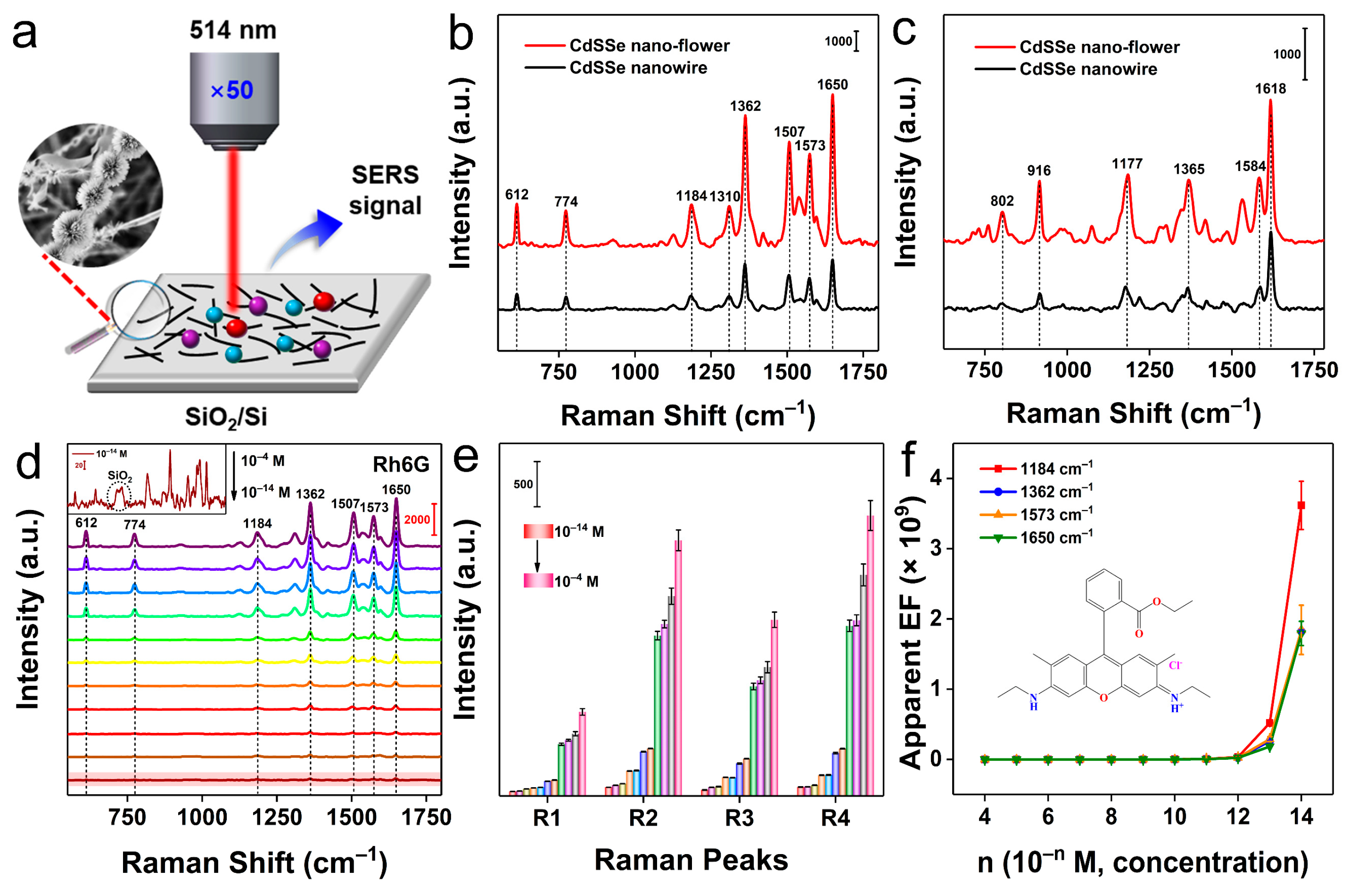 Molecules 28 02980 g002