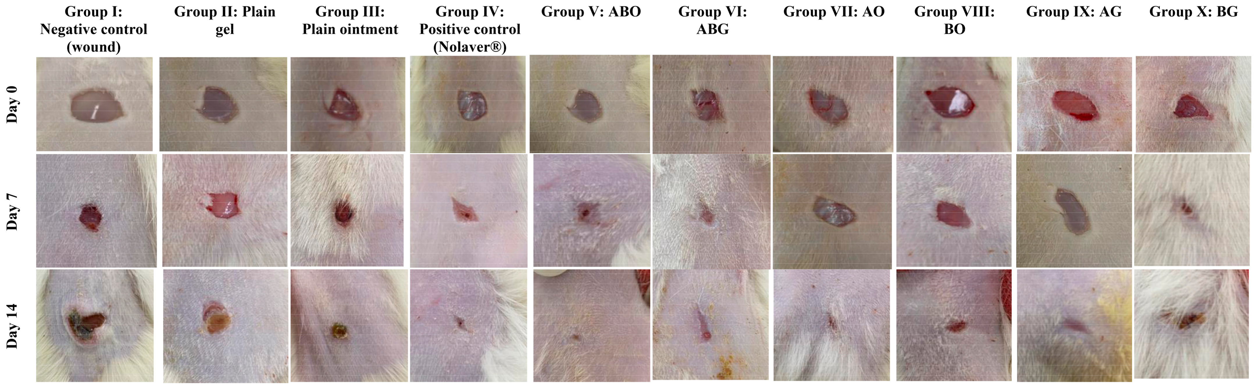 Molecules 28 02994 g004 Molecules 28 02994 g004