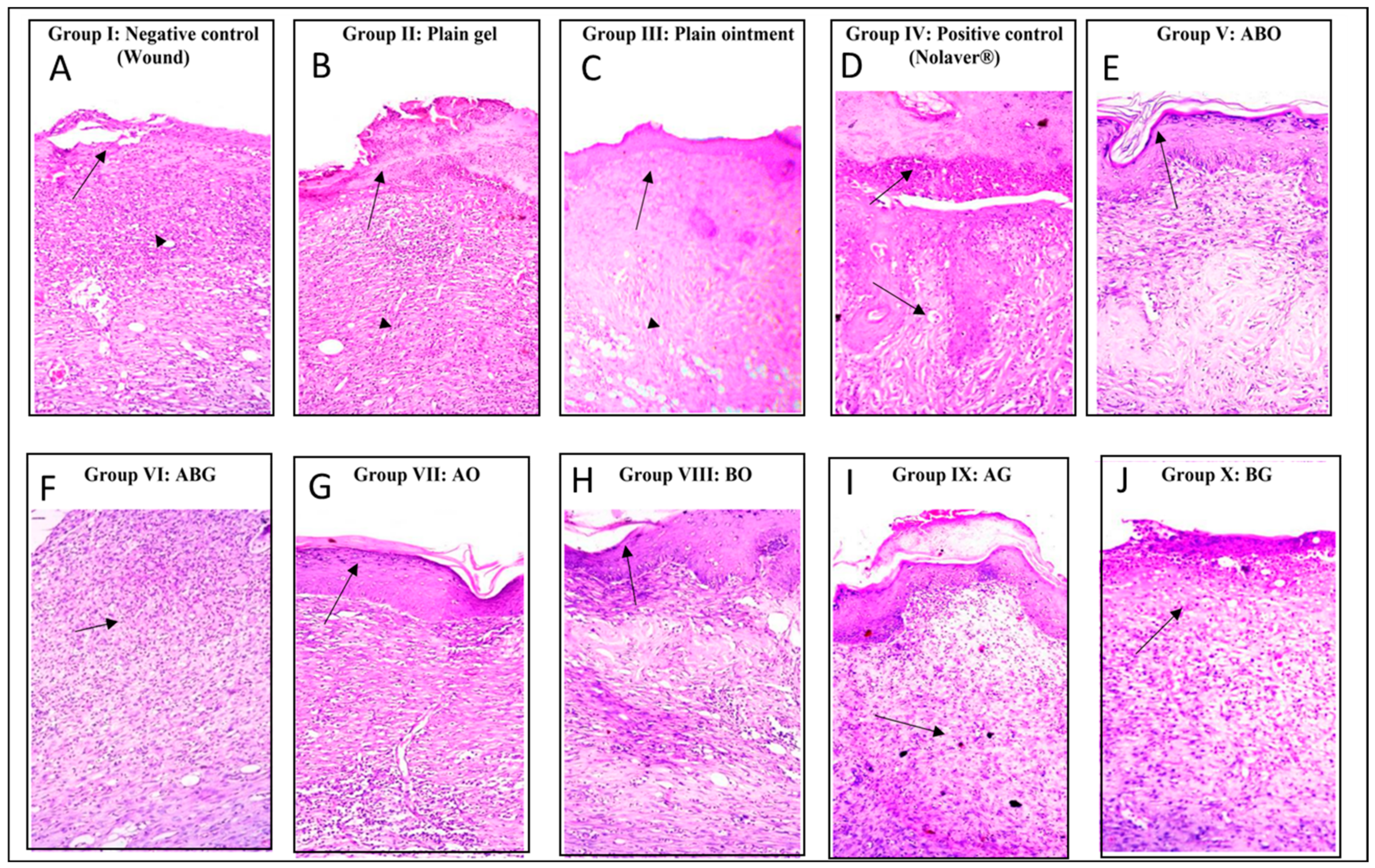Molecules 28 02994 g006 Molecules 28 02994 g006