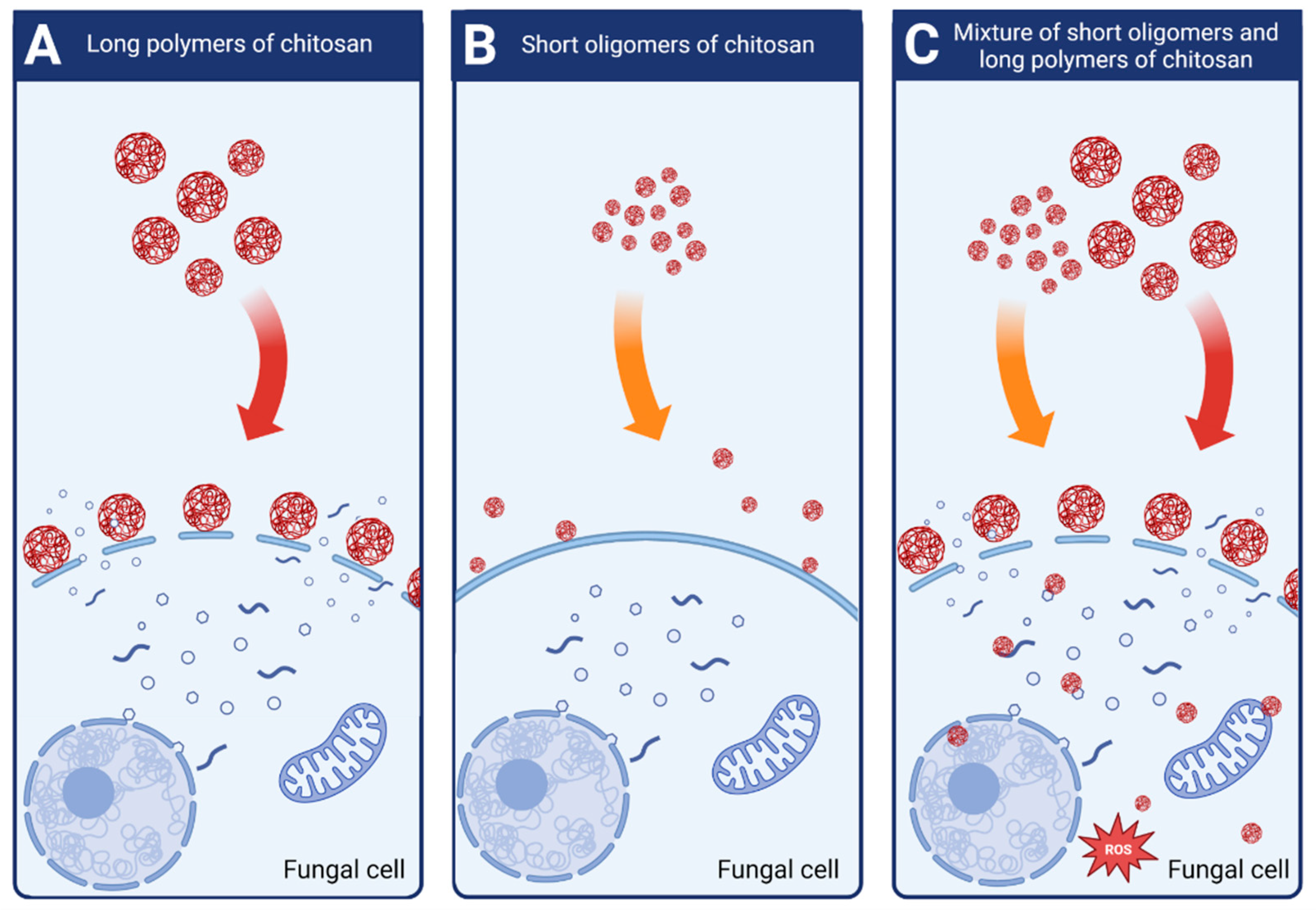 Molecules 28 02996 g004