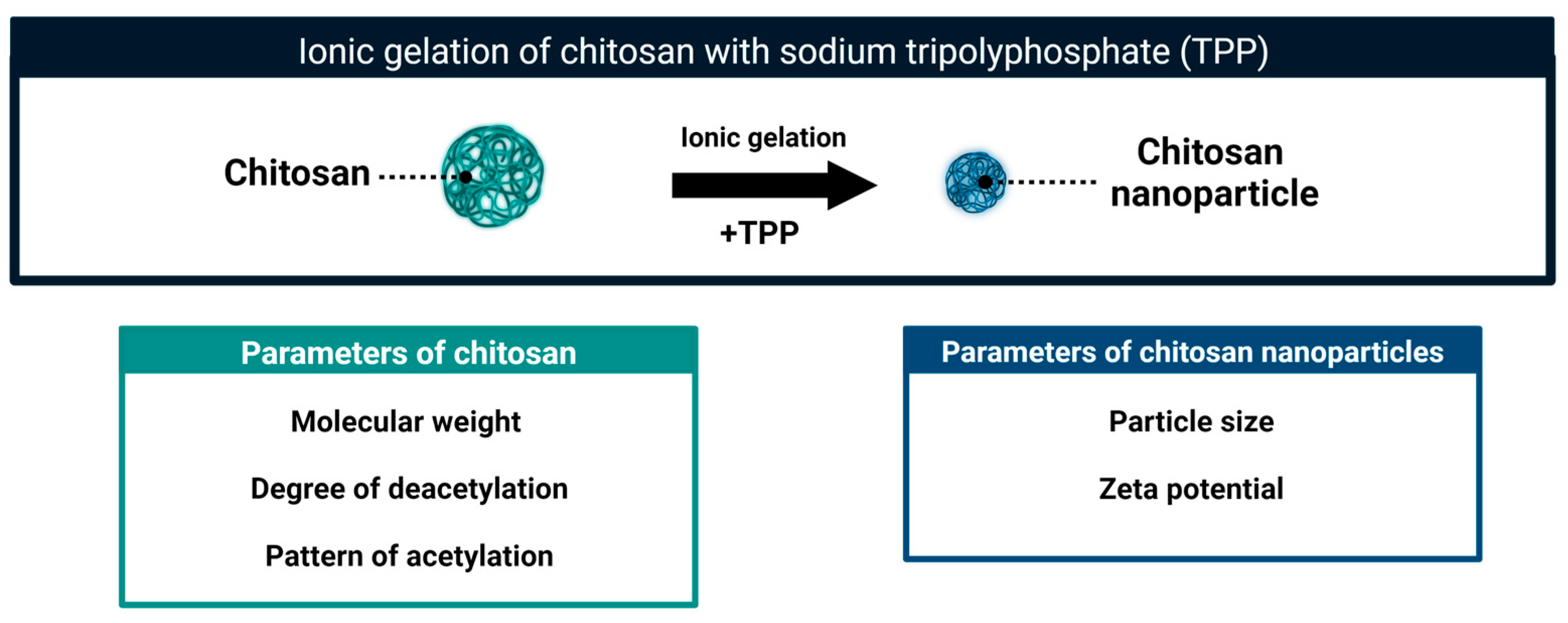 Molecules 28 02996 g005