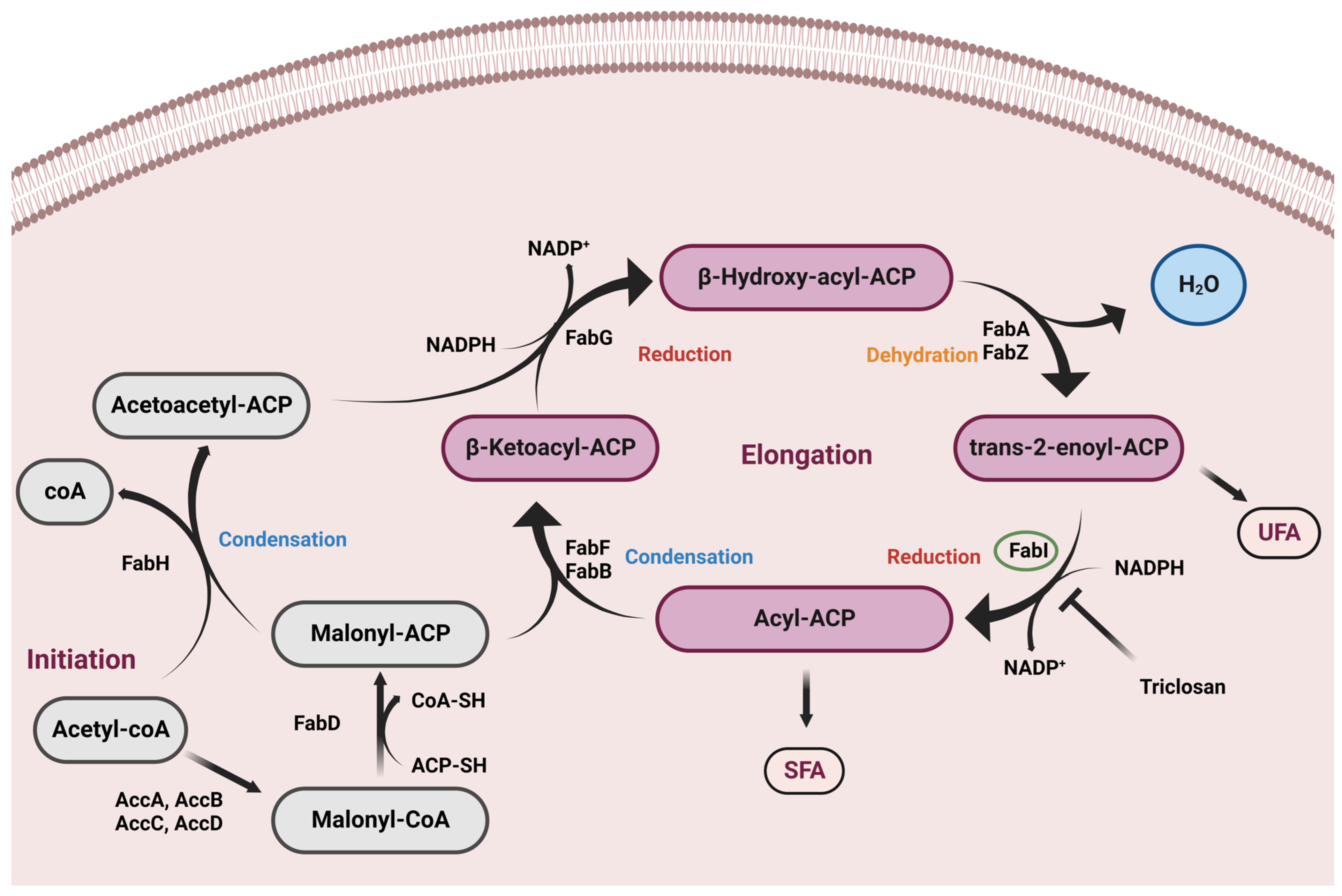 Molecules 28 03000 g001
