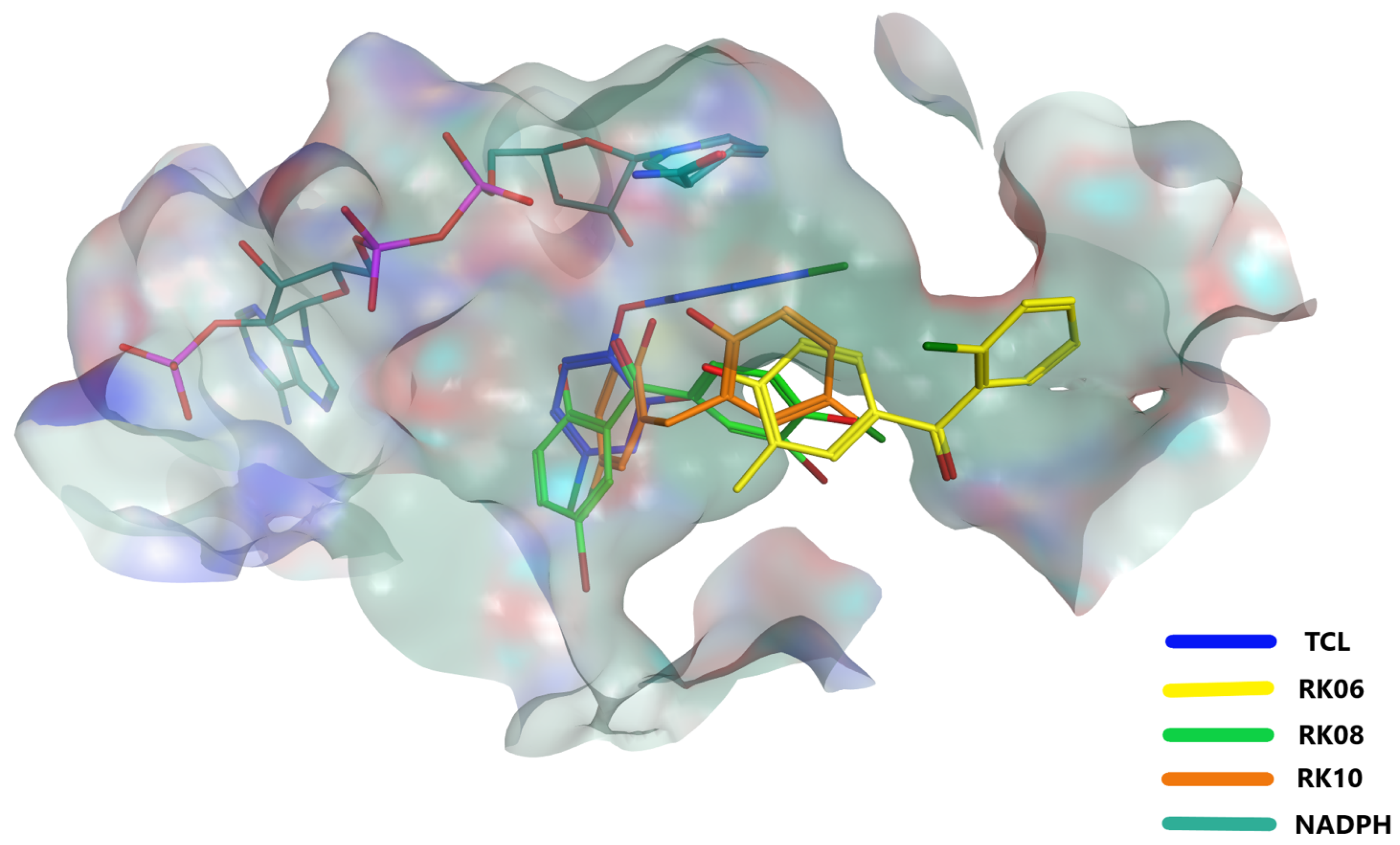 Molecules 28 03000 g004