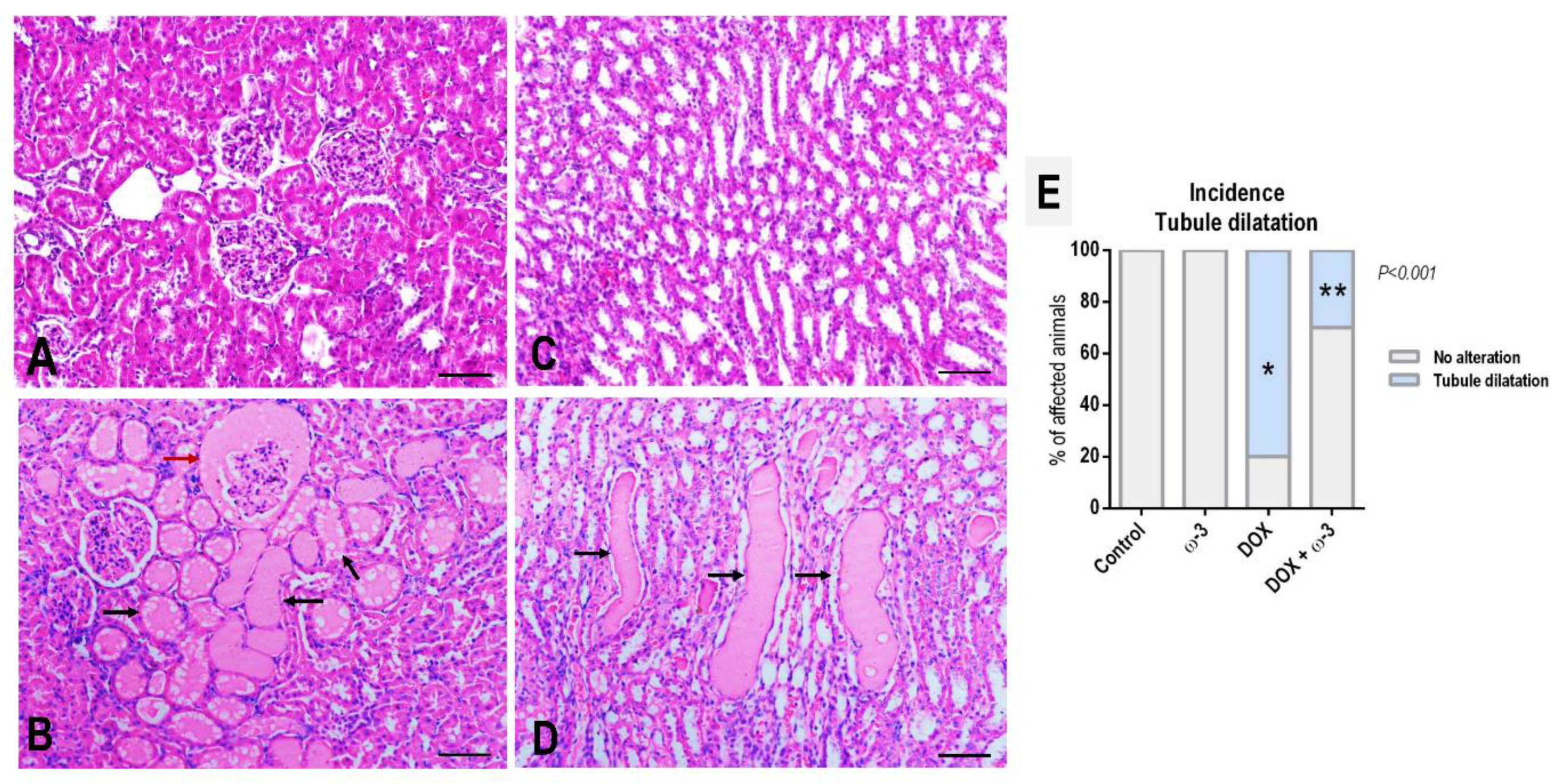 Molecules 28 03004 g002 Molecules 28 03004 g002