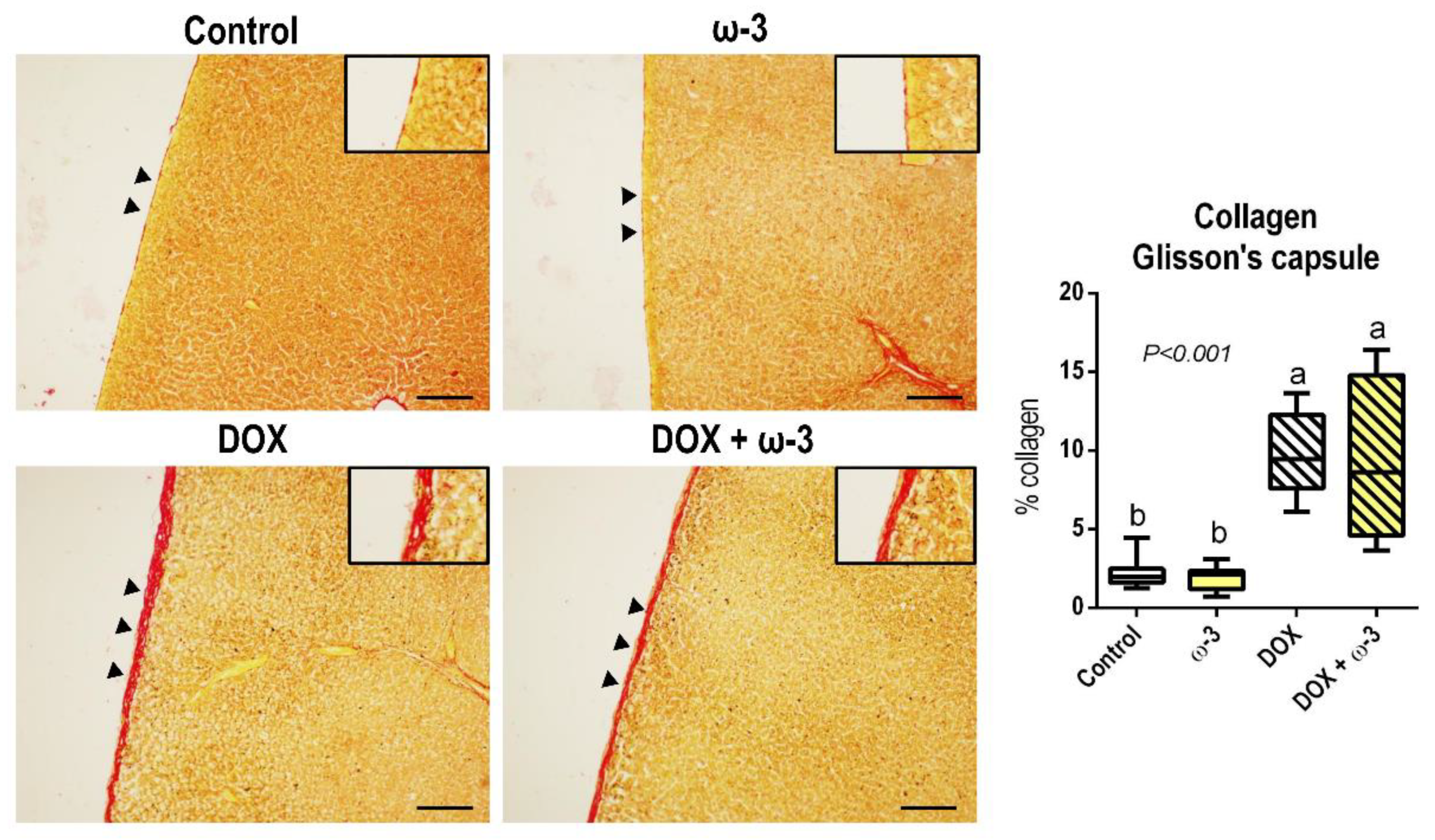 Molecules 28 03004 g003 Molecules 28 03004 g003
