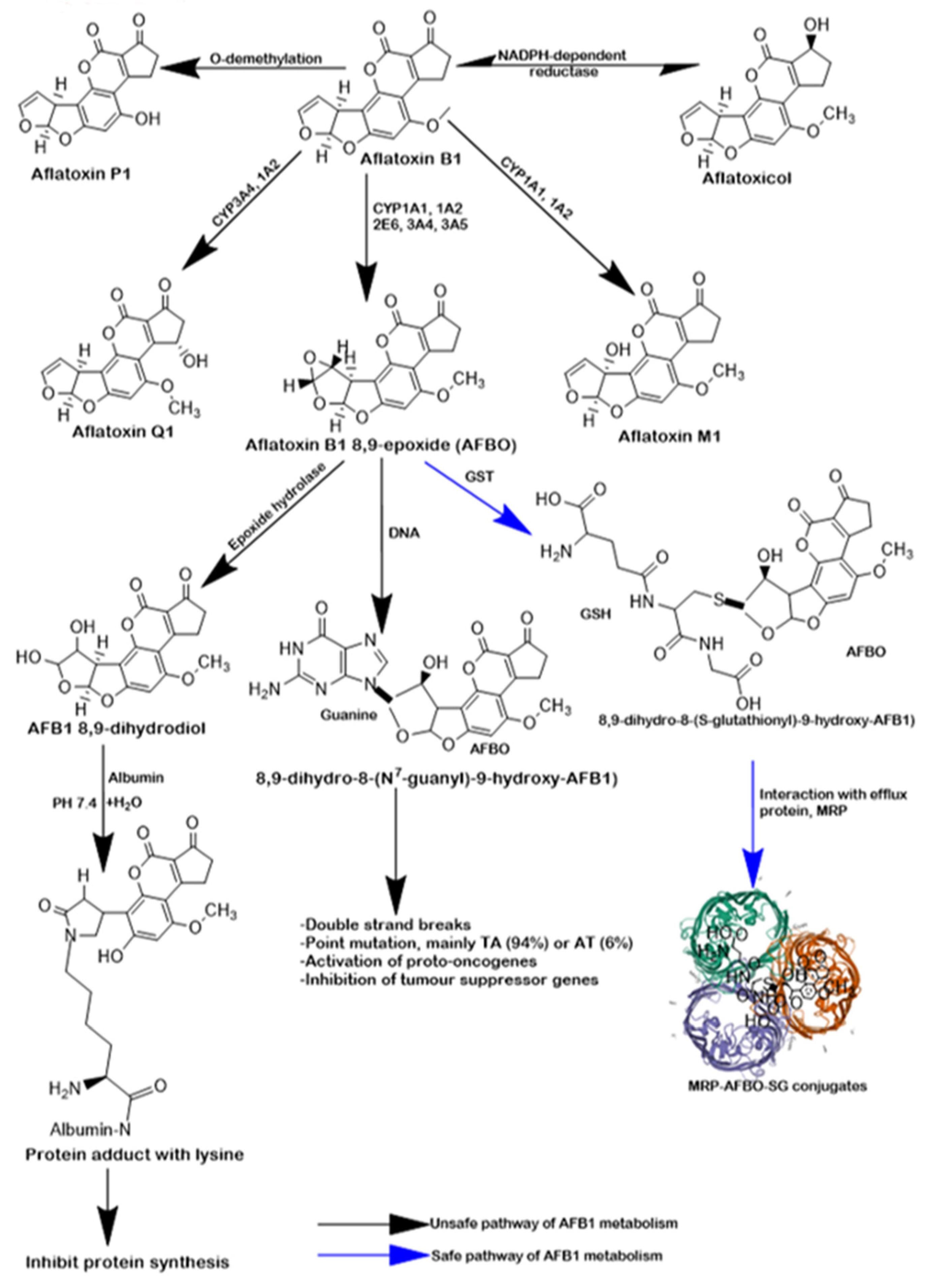 Molecules 28 03013 g001