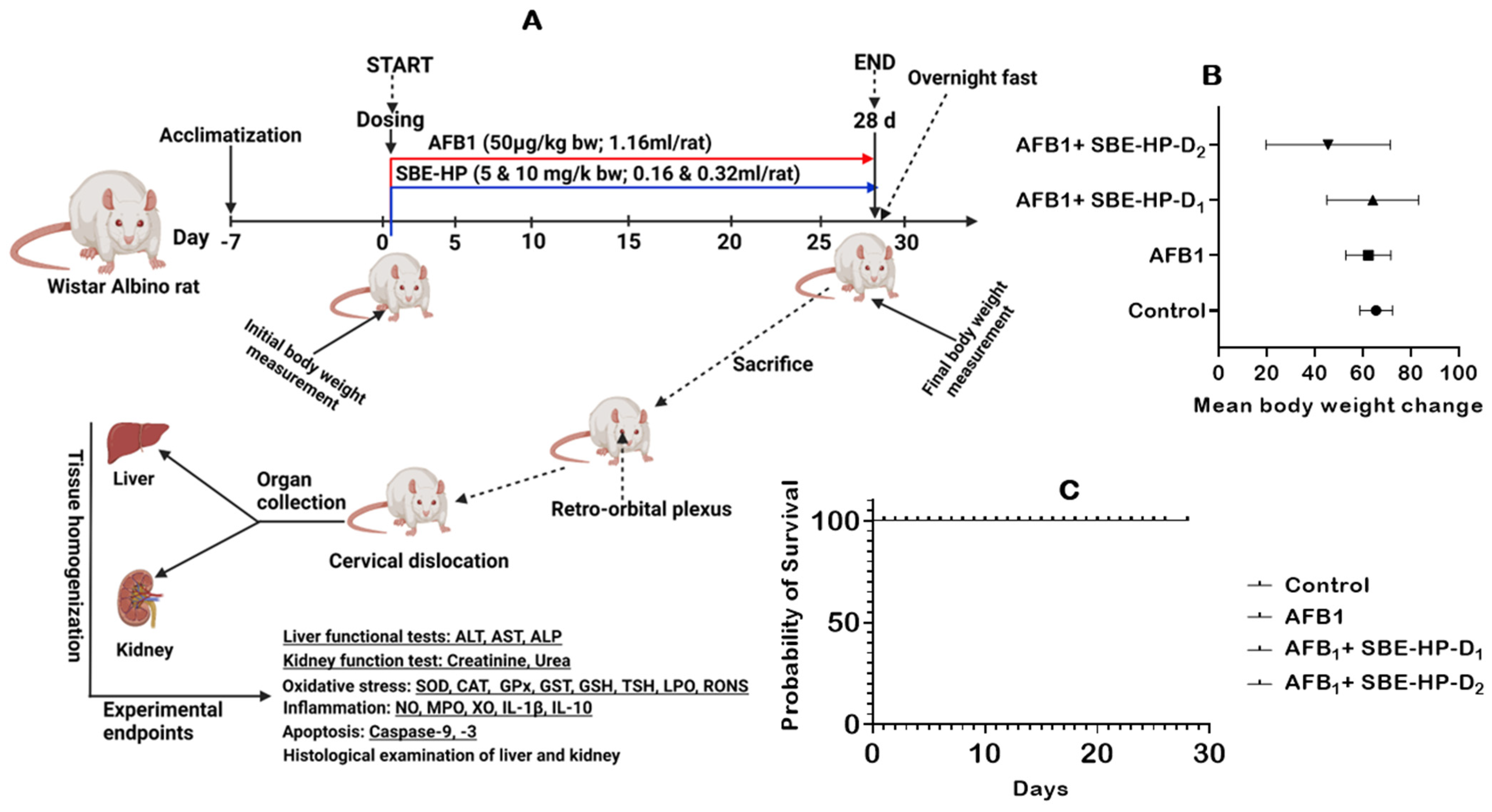 Molecules 28 03013 g003