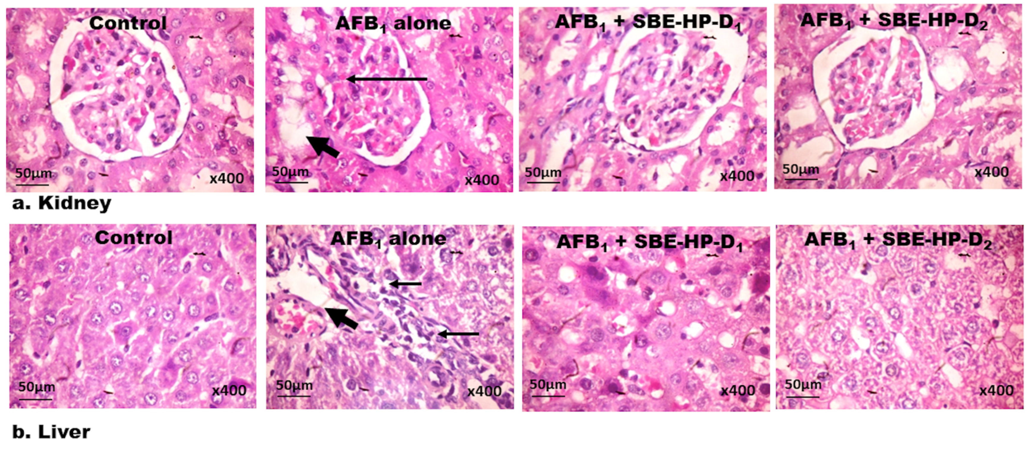 Molecules 28 03013 g011