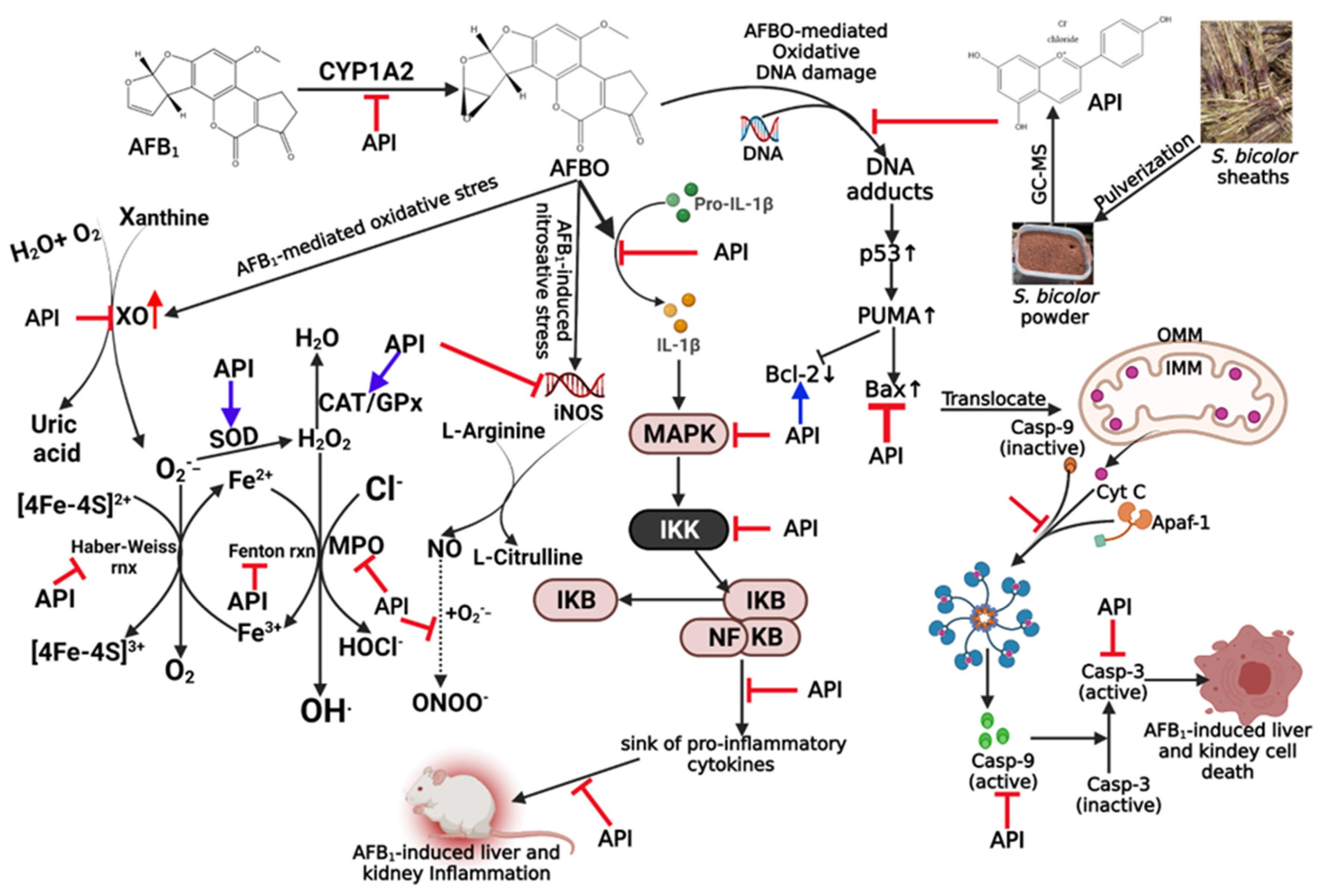 Molecules 28 03013 g012