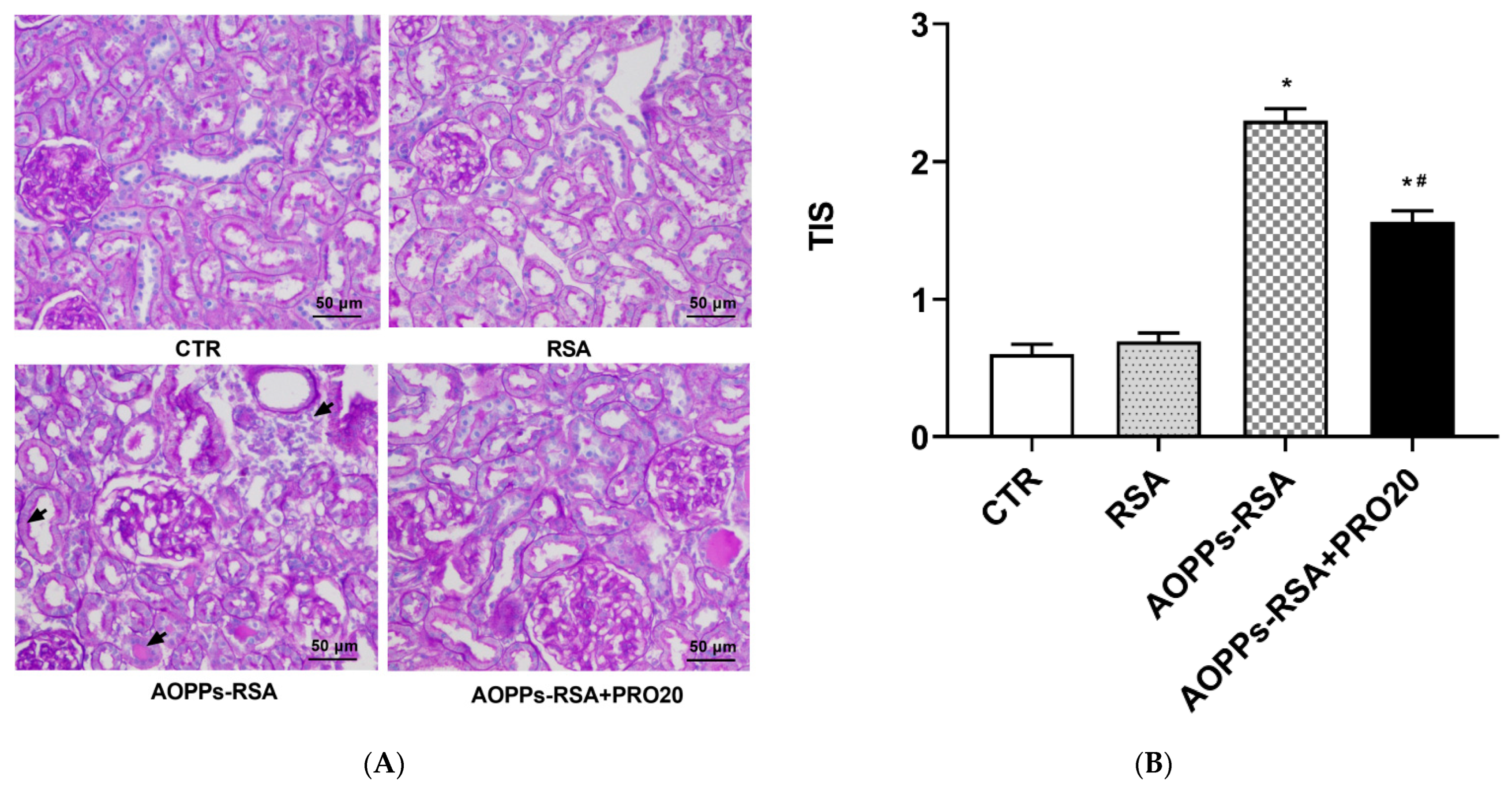 Molecules 28 03017 g001 Molecules 28 03017 g001